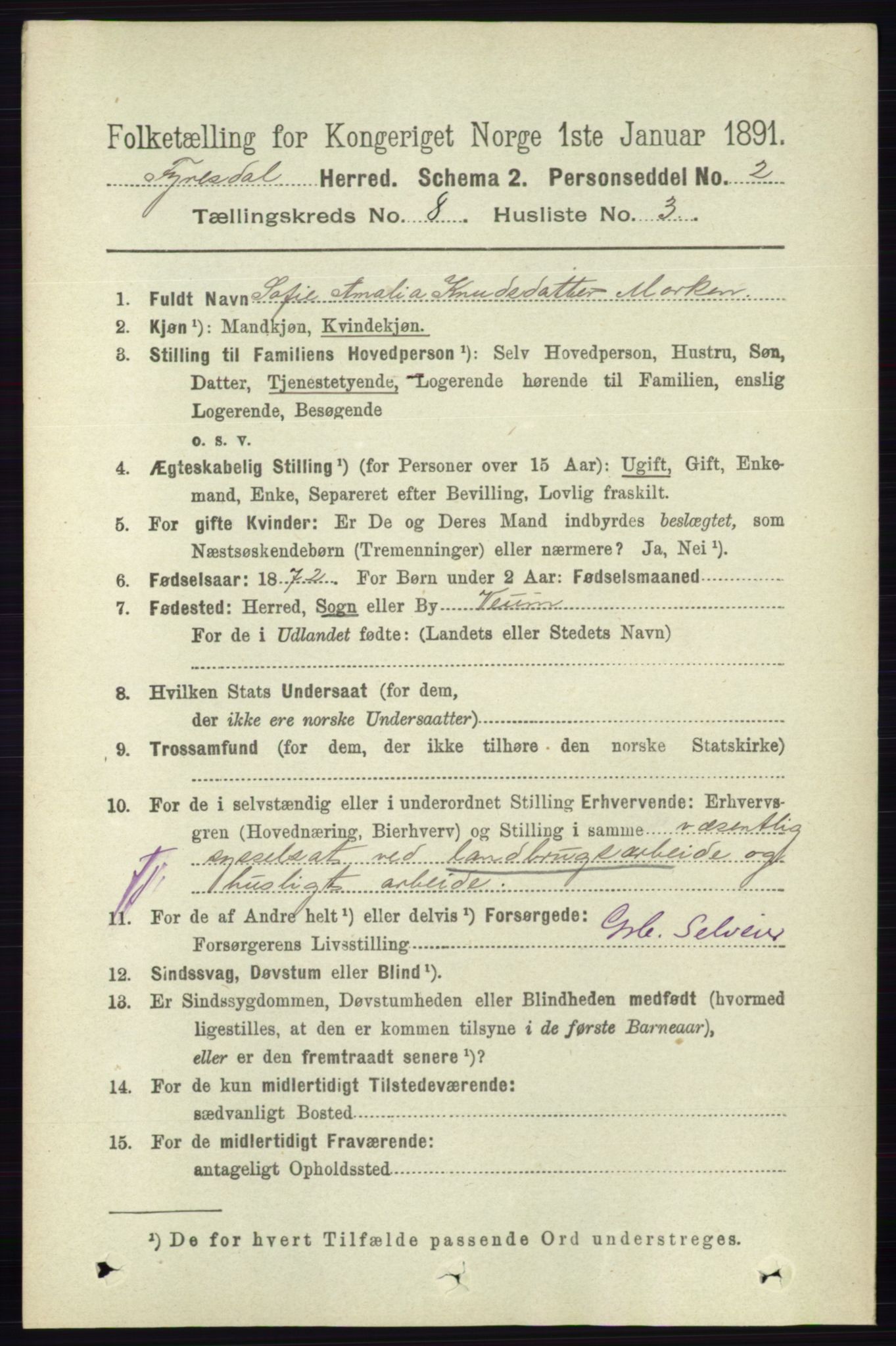 RA, 1891 census for 0831 Fyresdal, 1891, p. 2185