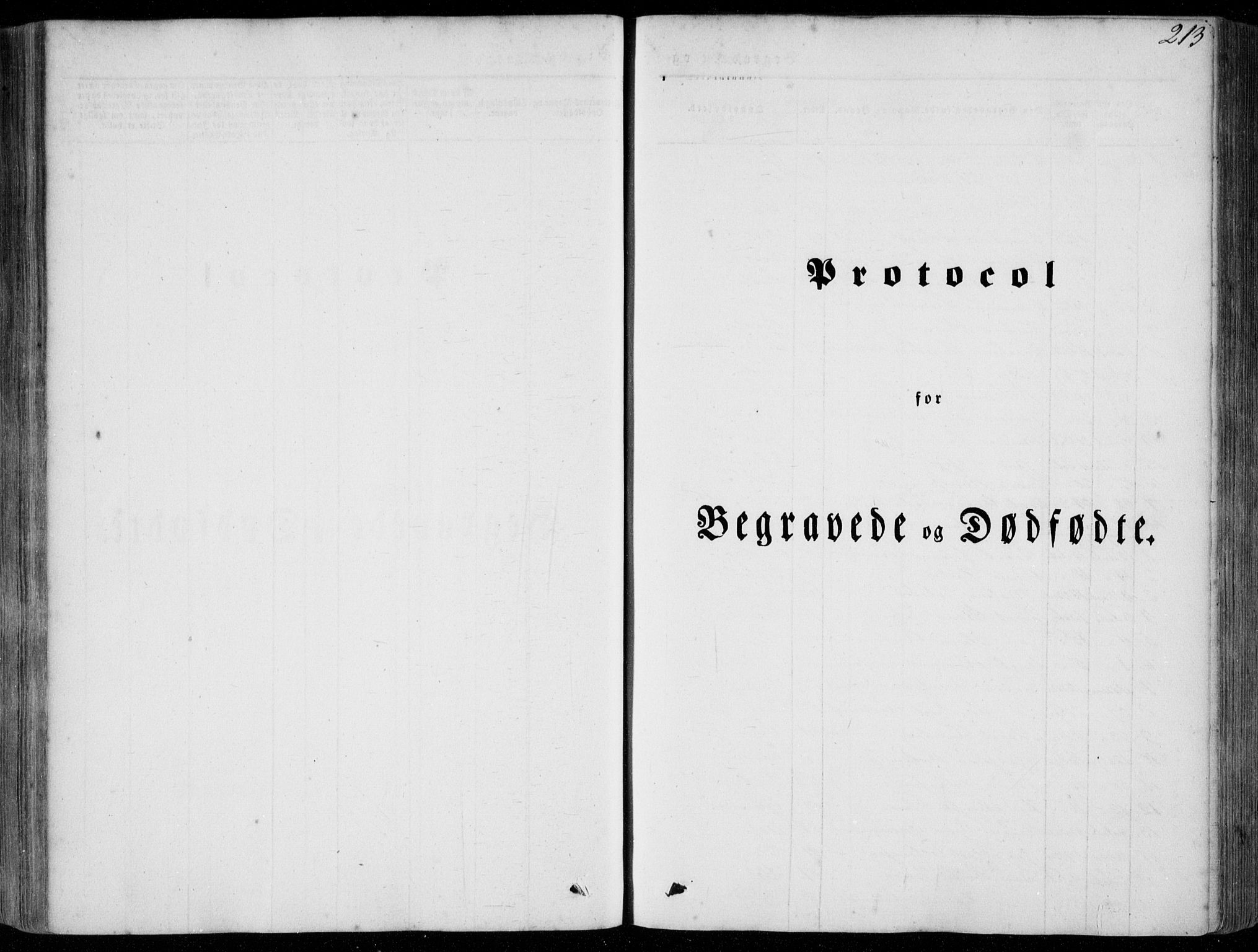 Stryn Sokneprestembete, SAB/A-82501: Parish register (official) no. A 2, 1844-1861, p. 213
