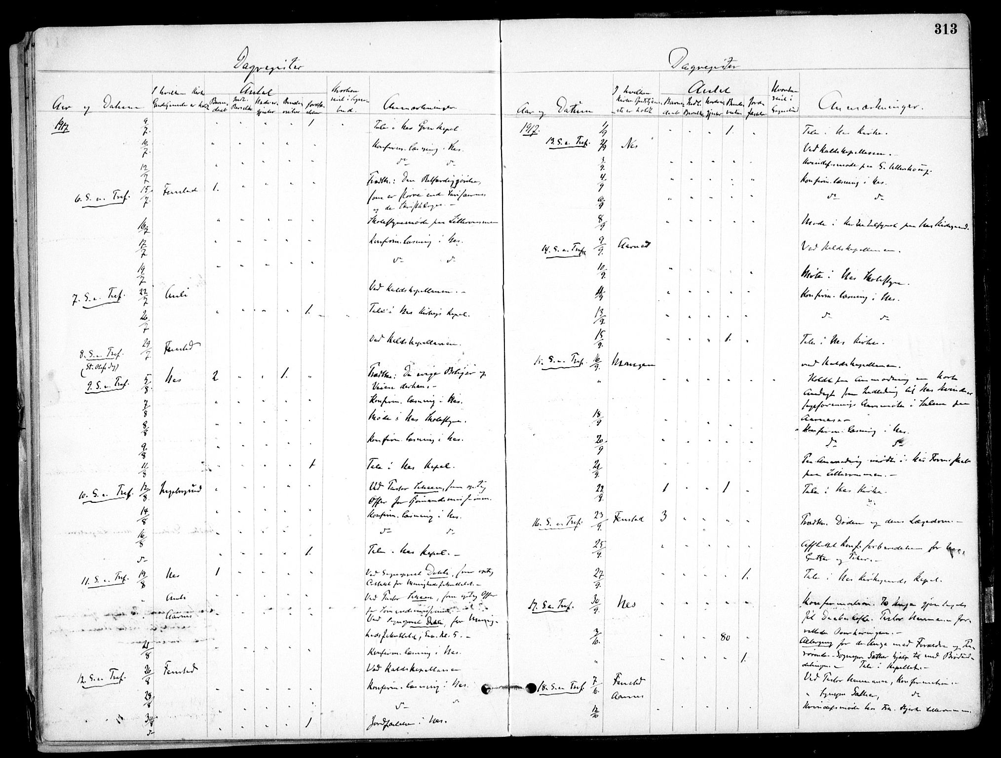 Nes prestekontor Kirkebøker, AV/SAO-A-10410/F/Fb/L0002: Parish register (official) no. II 2, 1883-1918, p. 313