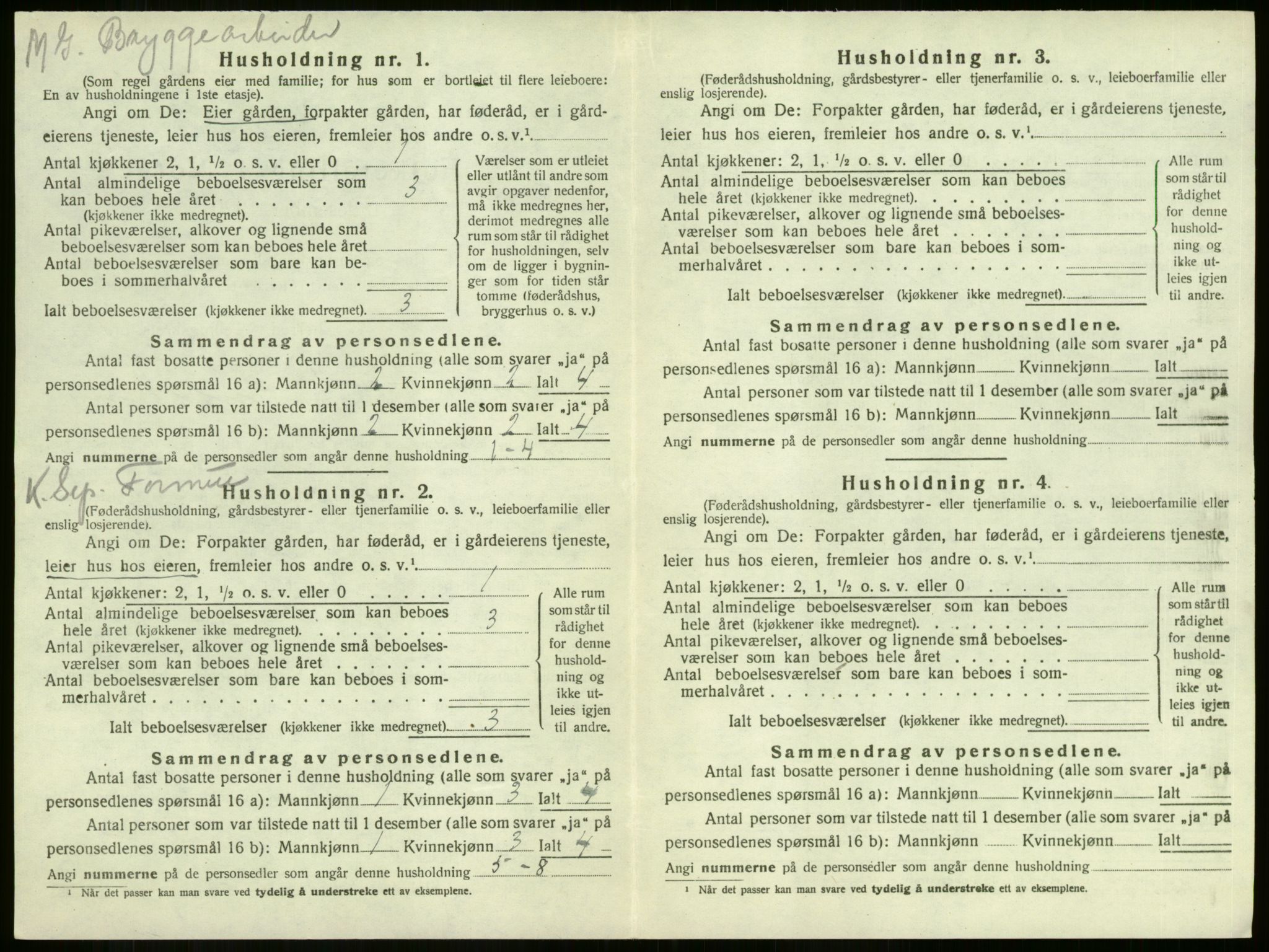 SAKO, 1920 census for Sandeherred, 1920, p. 2858