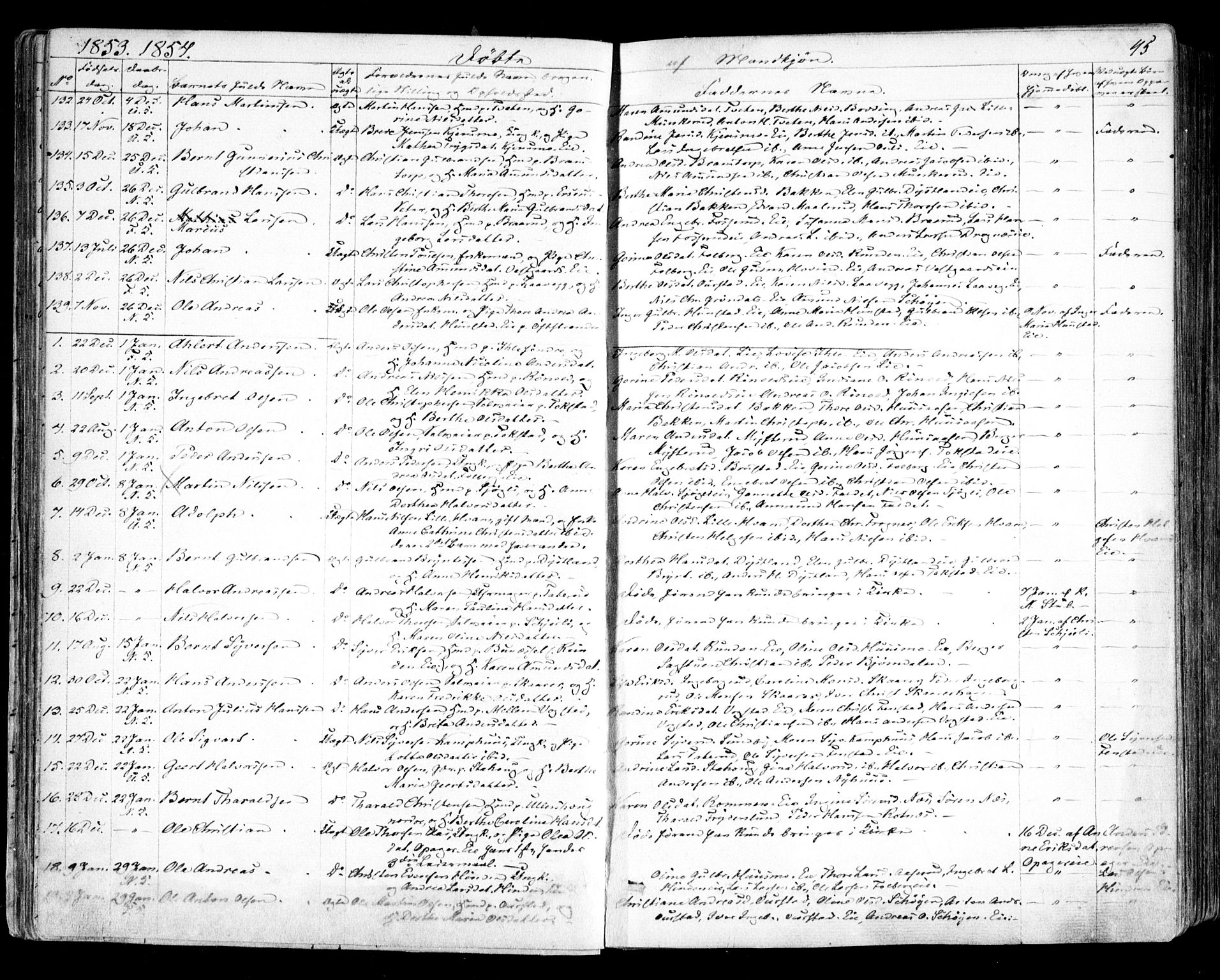 Nes prestekontor Kirkebøker, AV/SAO-A-10410/F/Fa/L0007: Parish register (official) no. I 7, 1846-1858, p. 45