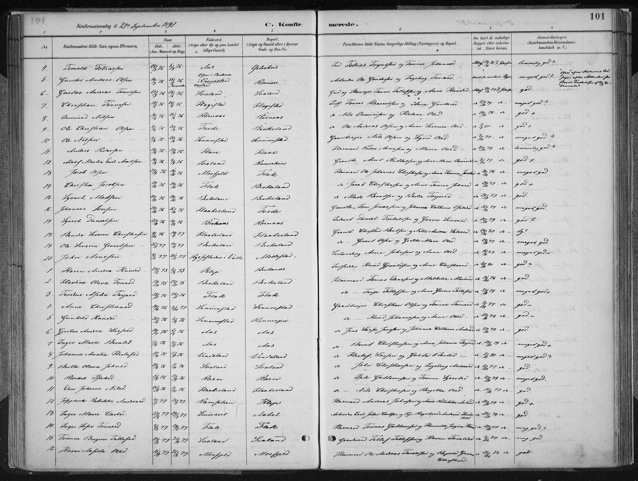 Birkenes sokneprestkontor, AV/SAK-1111-0004/F/Fa/L0005: Parish register (official) no. A 5, 1887-1907, p. 101