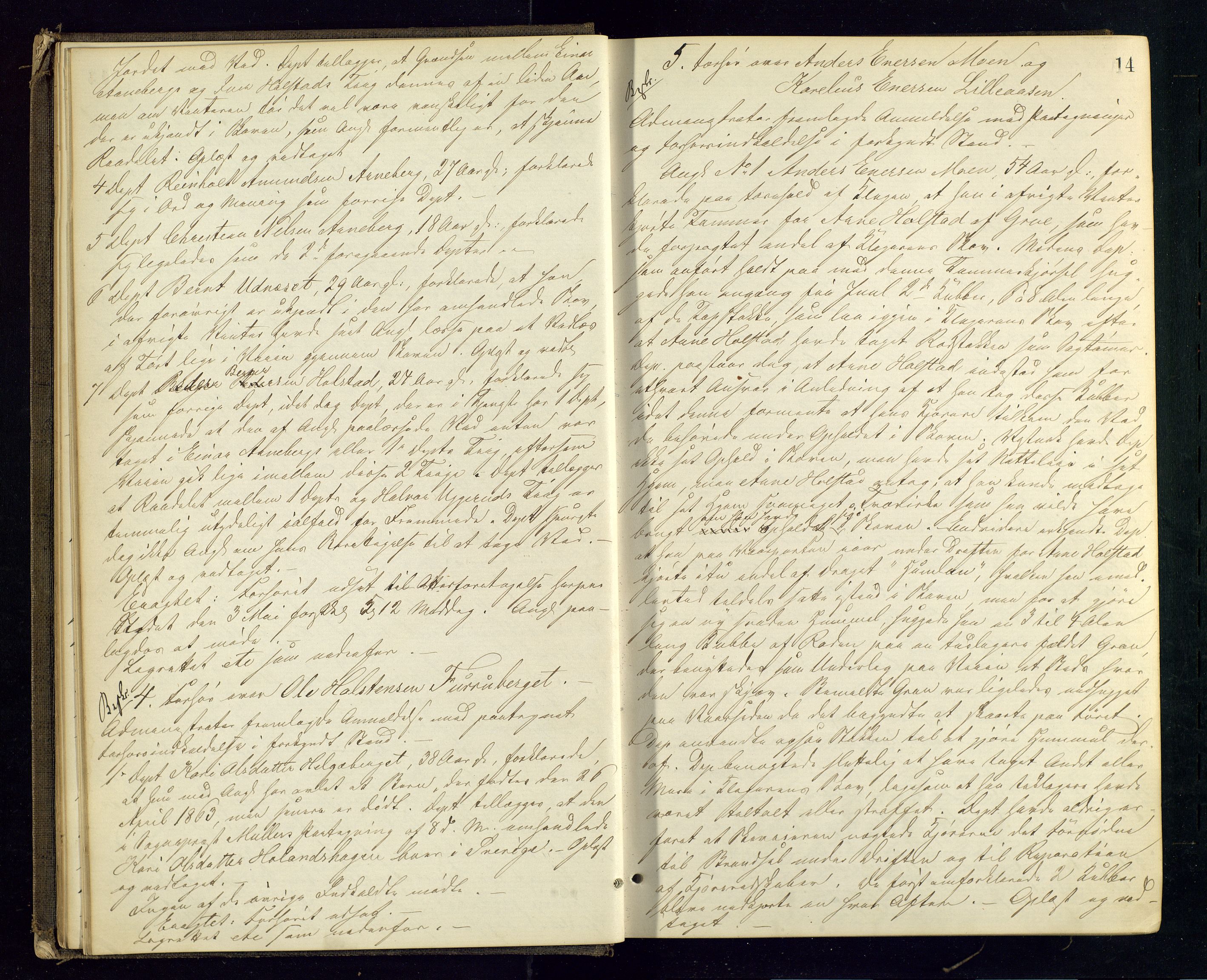 Solør tingrett, AV/SAH-TING-008/G/Gc/Gca/L0012: Ekstrarettsprotokoll, 1864-1869, p. 14