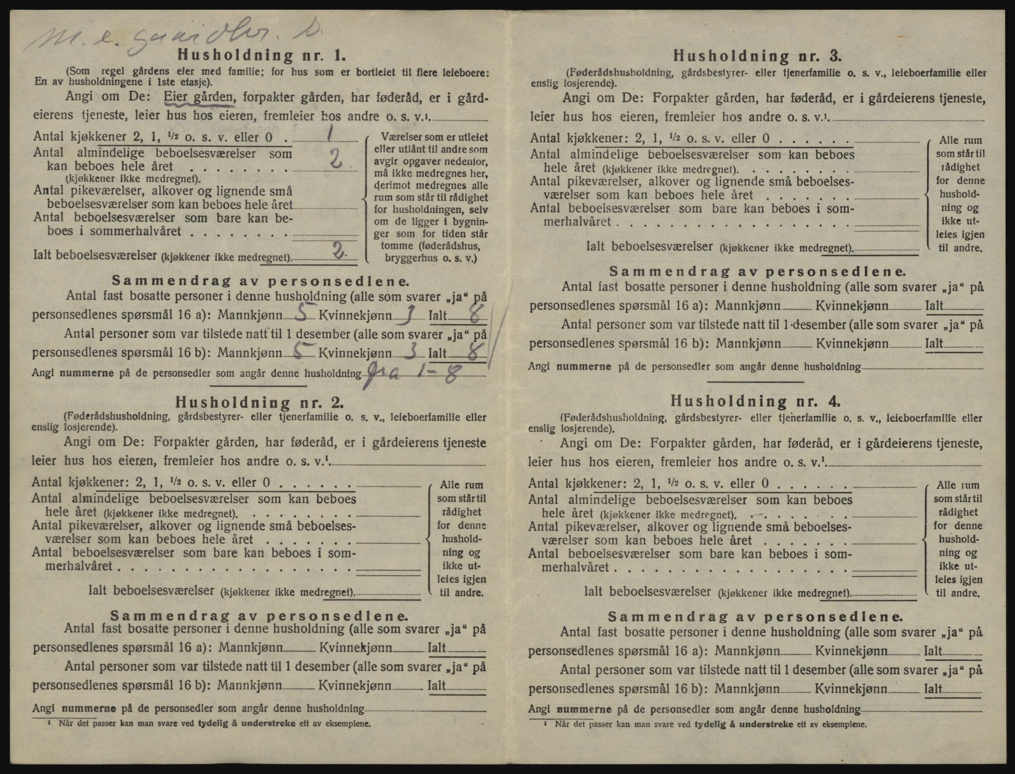 SAO, 1920 census for Våler, 1920, p. 907