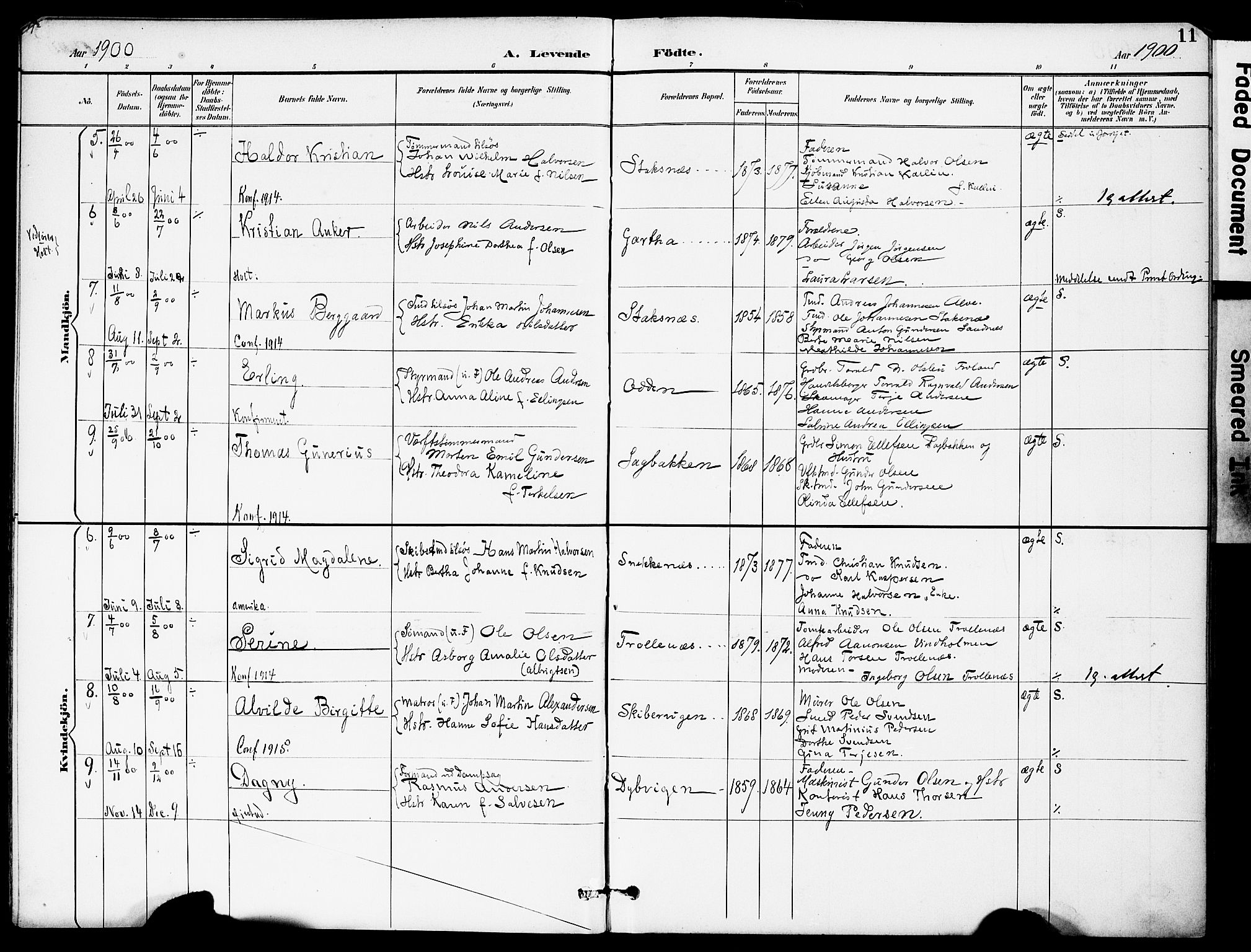 Austre Moland sokneprestkontor, AV/SAK-1111-0001/F/Fa/Fab/L0002: Parish register (official) no. A 2, 1894-1919, p. 11