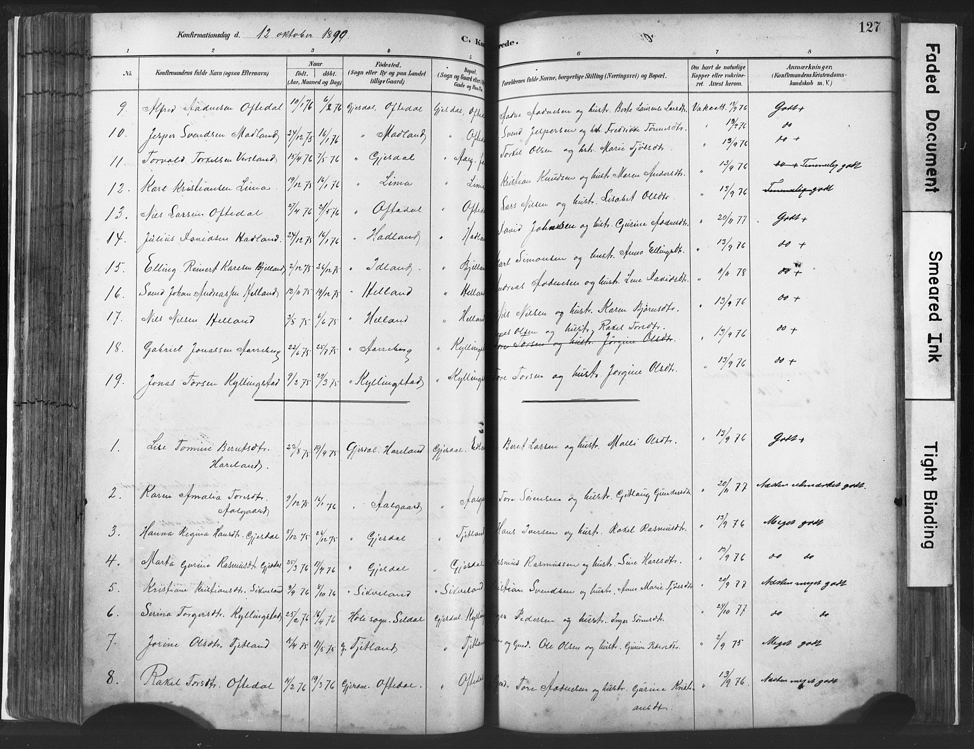 Lye sokneprestkontor, AV/SAST-A-101794/001/30BA/L0010: Parish register (official) no. A 10, 1881-1896, p. 127