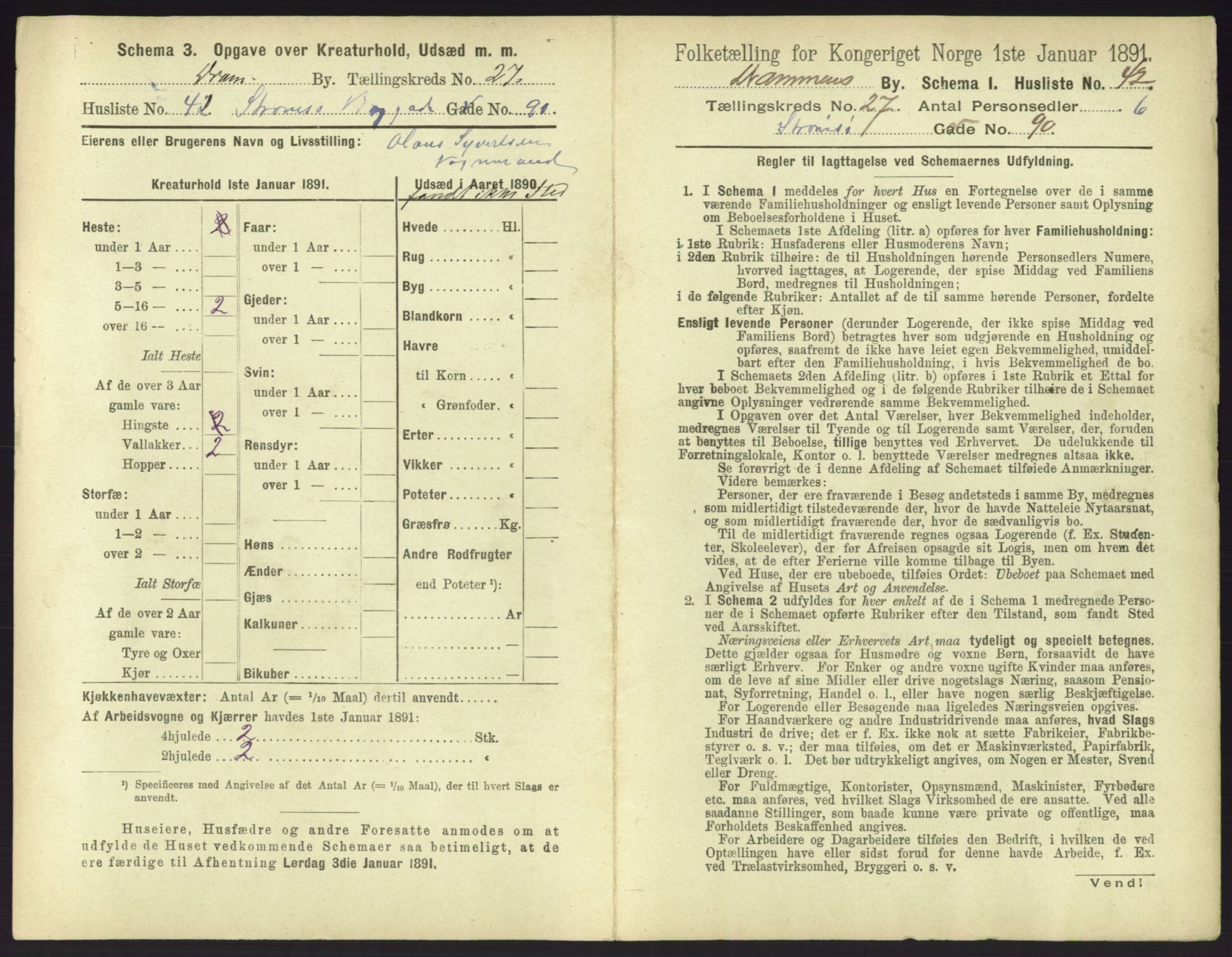 RA, 1891 census for 0602 Drammen, 1891, p. 2343