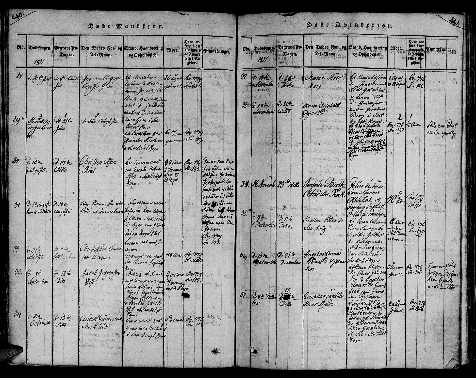 Ministerialprotokoller, klokkerbøker og fødselsregistre - Nord-Trøndelag, AV/SAT-A-1458/730/L0275: Parish register (official) no. 730A04, 1816-1822, p. 240-241