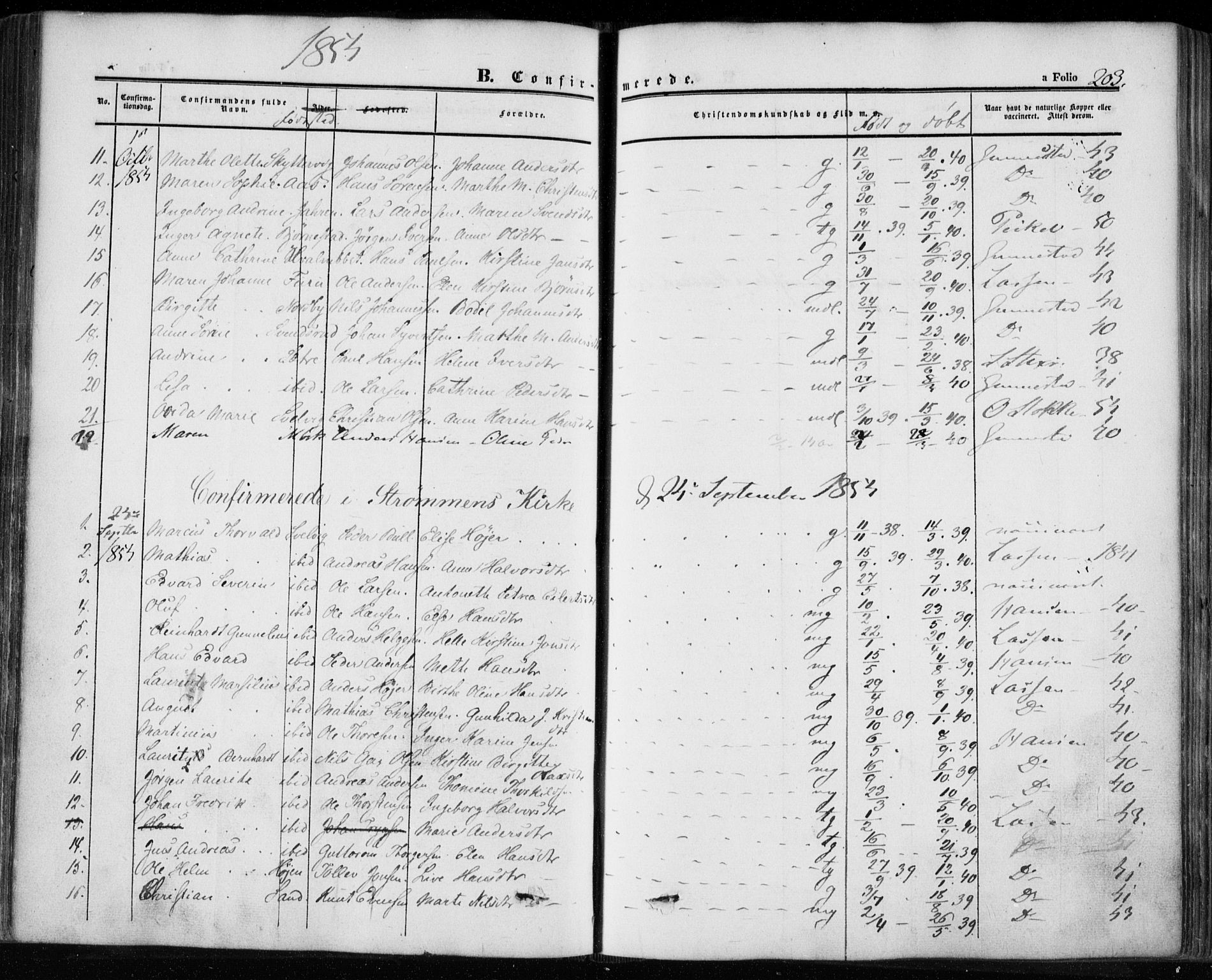 Hurum kirkebøker, AV/SAKO-A-229/F/Fa/L0011: Parish register (official) no. 11, 1847-1860, p. 203