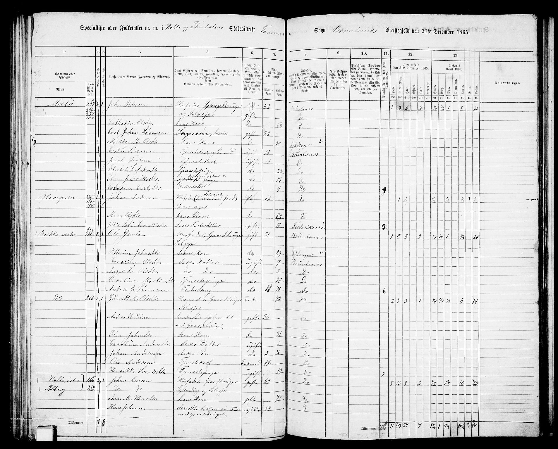 RA, 1865 census for Brunlanes, 1865, p. 96