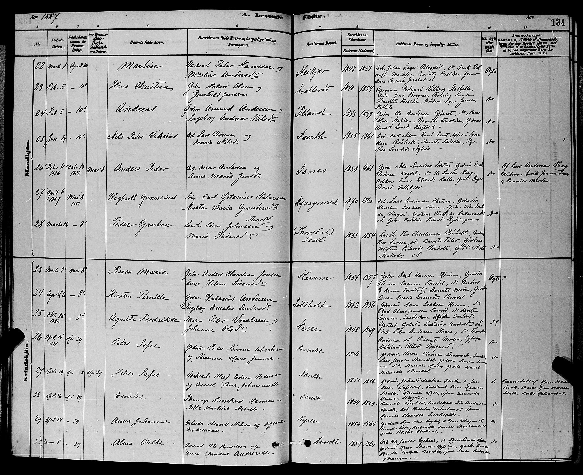 Bamble kirkebøker, AV/SAKO-A-253/G/Ga/L0008: Parish register (copy) no. I 8, 1878-1888, p. 134