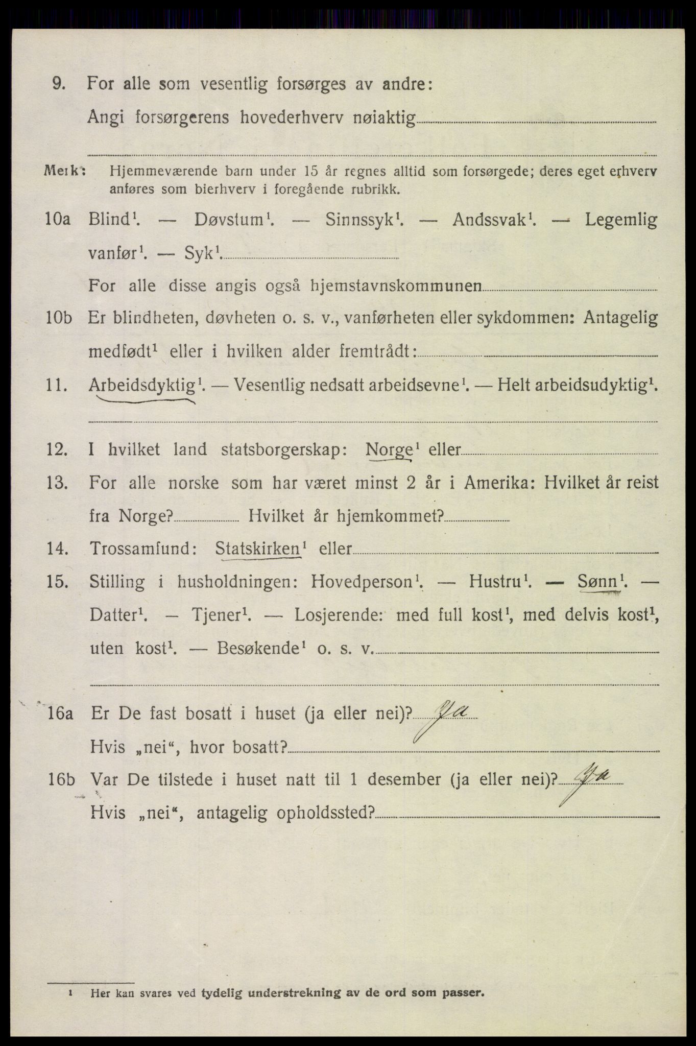 SAH, 1920 census for Søndre Land, 1920, p. 4984