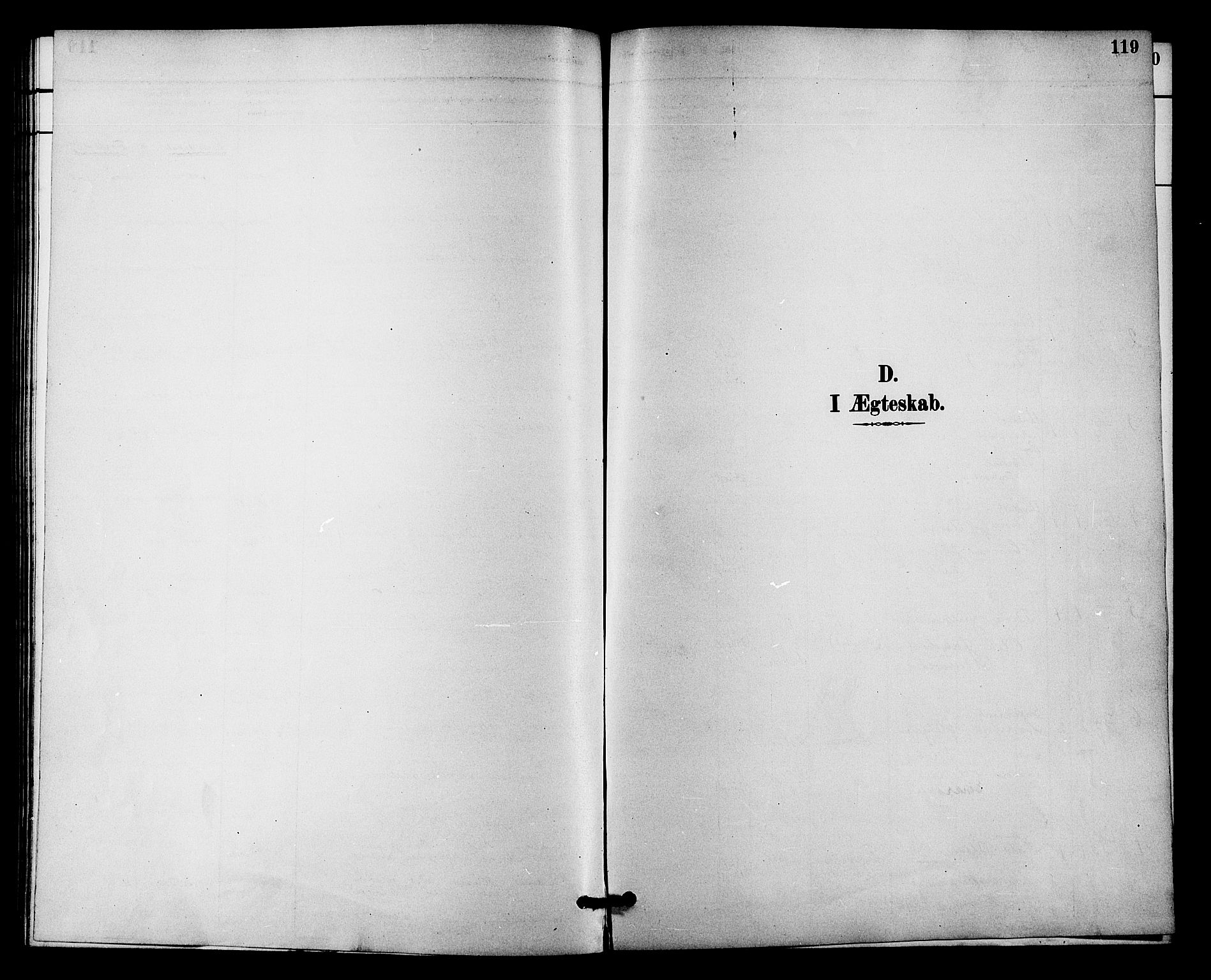 Fiskum kirkebøker, SAKO/A-15/F/Fa/L0001: Parish register (official) no. 1, 1858-1877, p. 119