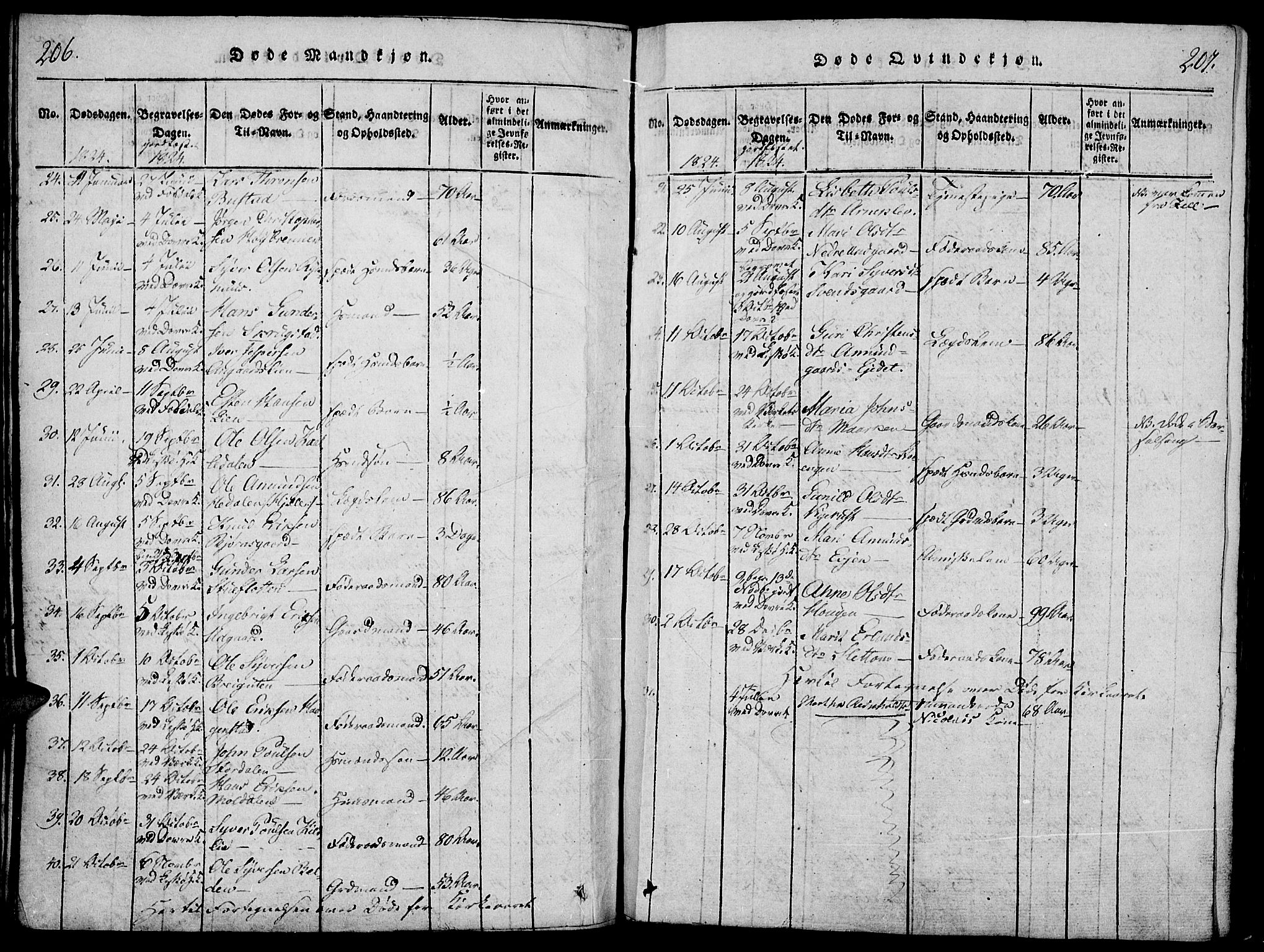 Lesja prestekontor, SAH/PREST-068/H/Ha/Haa/L0004: Parish register (official) no. 4, 1820-1829, p. 206-207