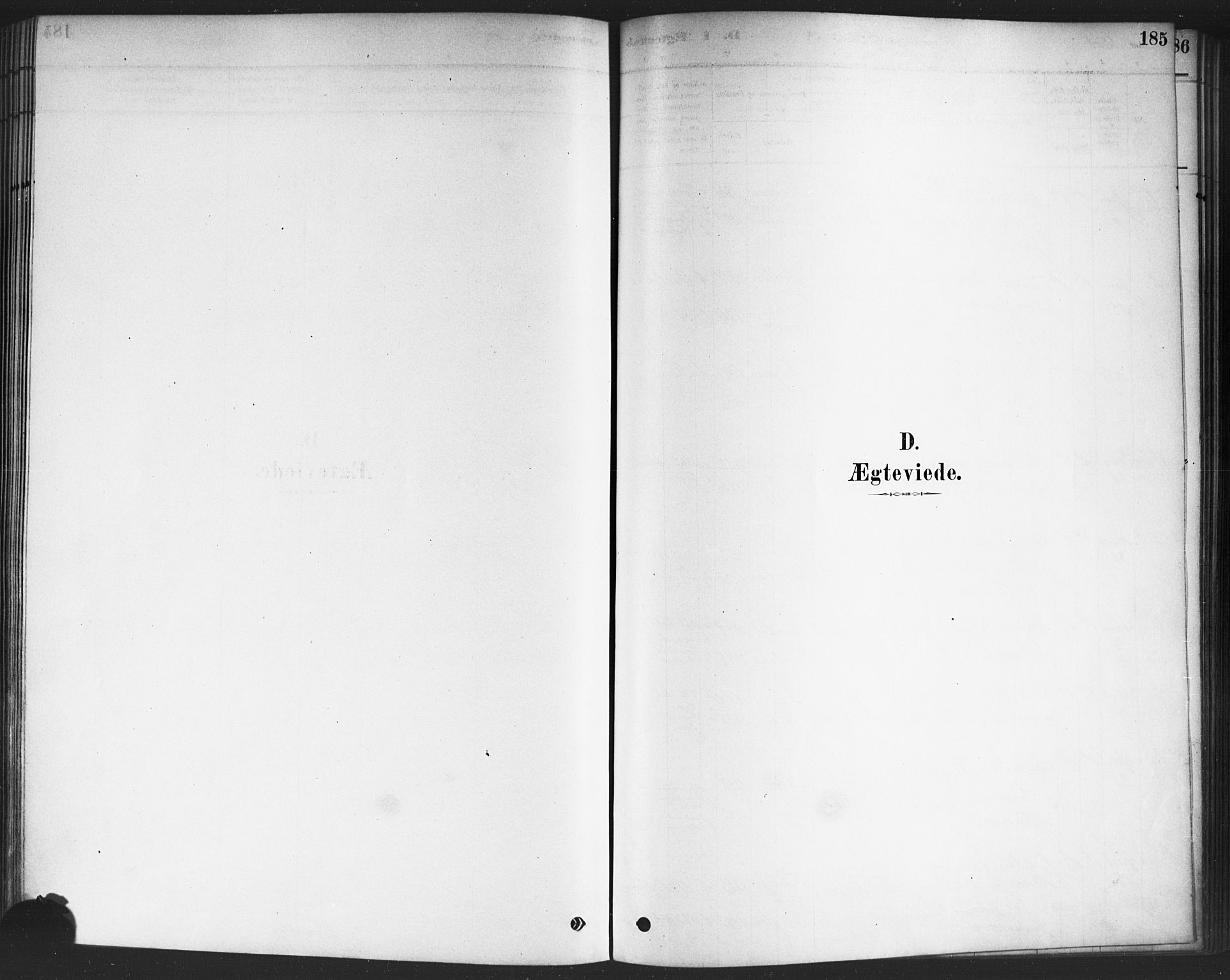 Drøbak prestekontor Kirkebøker, AV/SAO-A-10142a/F/Fc/L0002: Parish register (official) no. III 2, 1878-1891, p. 185
