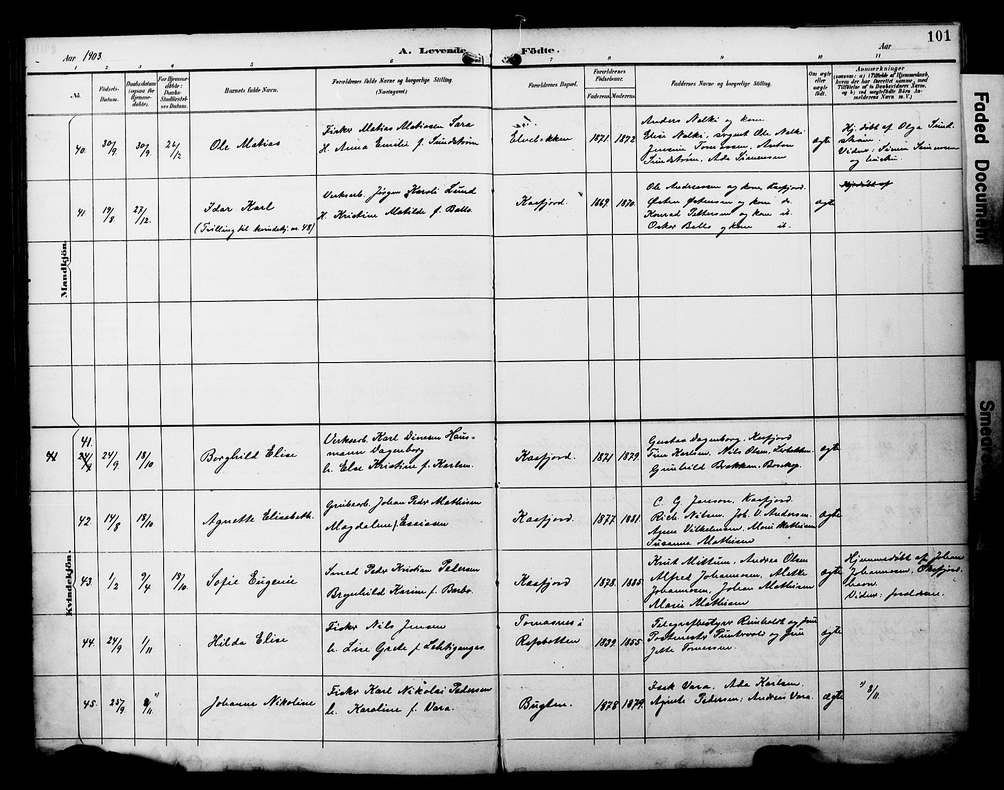 Alta sokneprestkontor, SATØ/S-1338/H/Ha/L0003.kirke: Parish register (official) no. 3, 1892-1904, p. 101