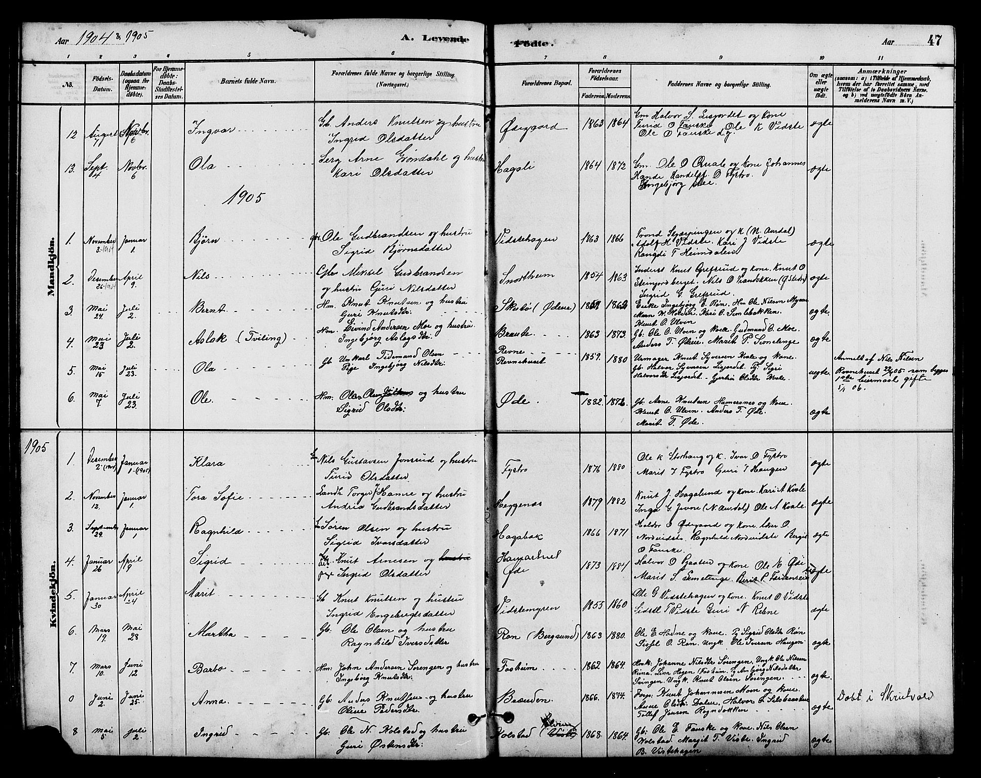 Vestre Slidre prestekontor, SAH/PREST-136/H/Ha/Hab/L0005: Parish register (copy) no. 5, 1881-1913, p. 47
