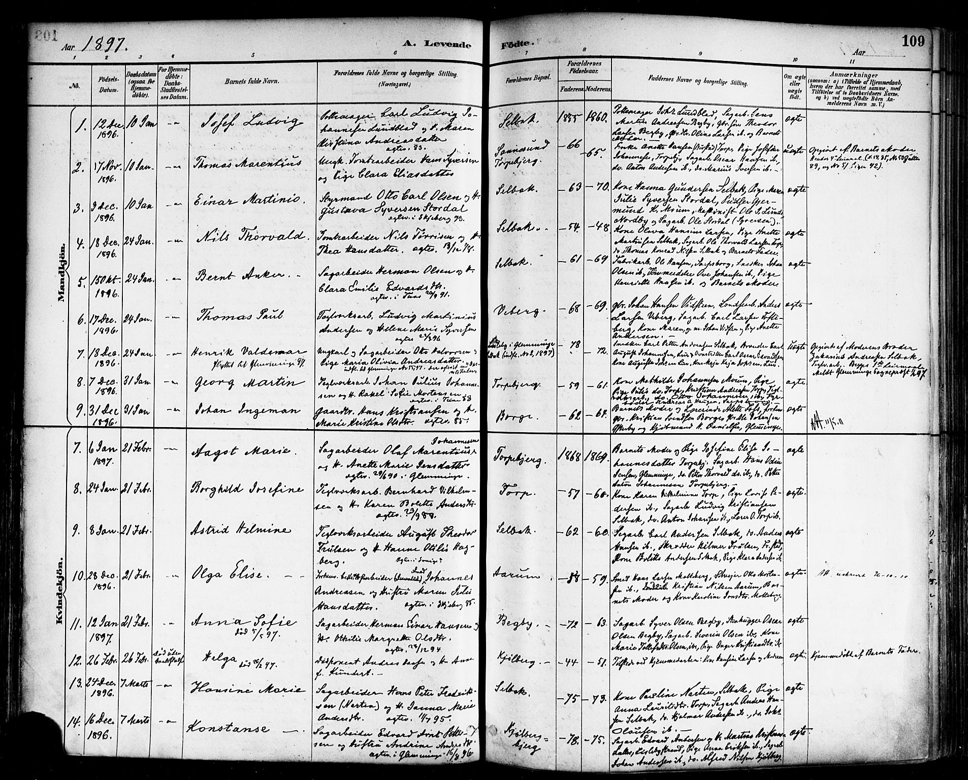 Borge prestekontor Kirkebøker, SAO/A-10903/F/Fa/L0008: Parish register (official) no. I 8A, 1887-1902, p. 109
