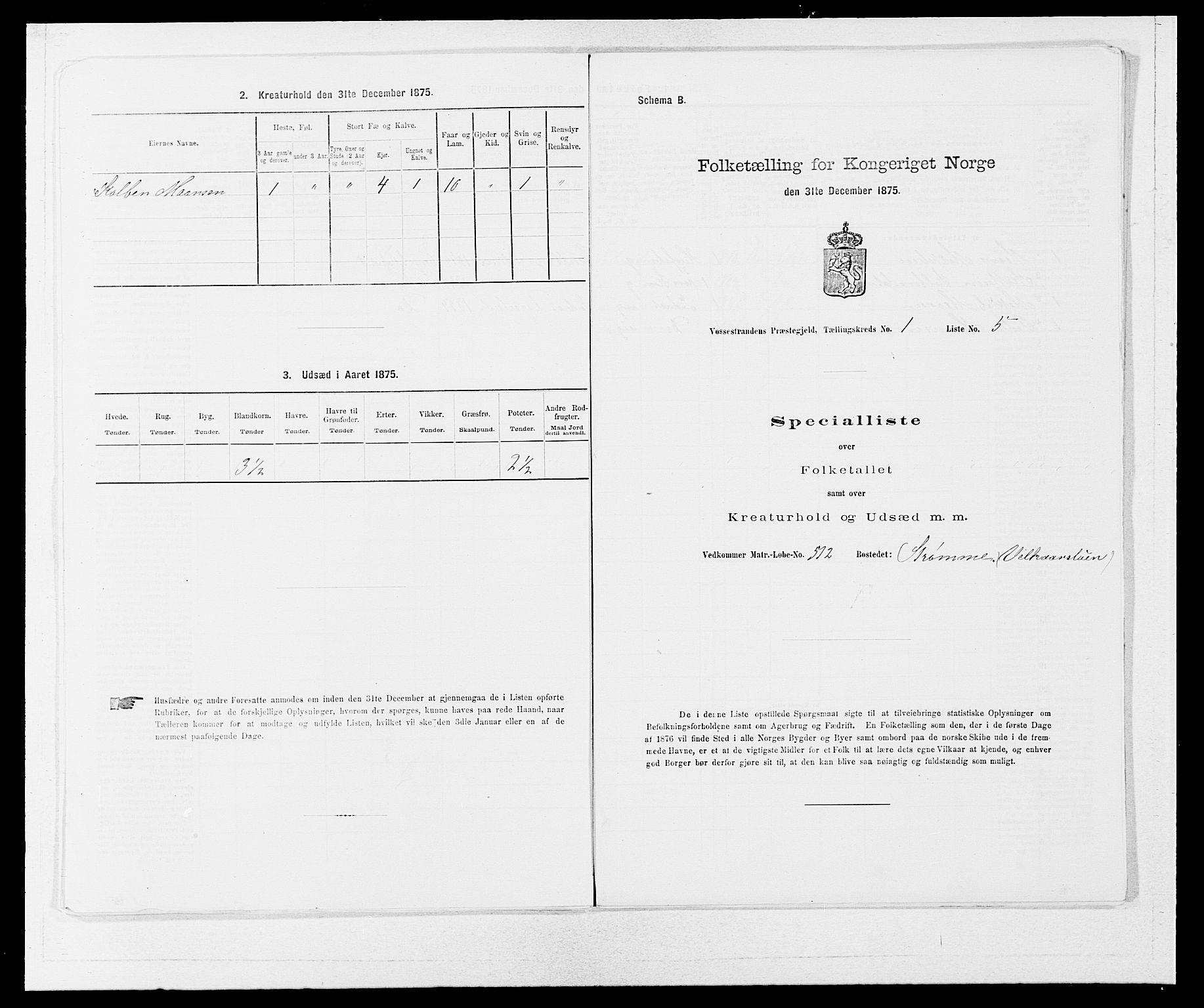 SAB, 1875 census for 1236P Vossestrand, 1875, p. 29