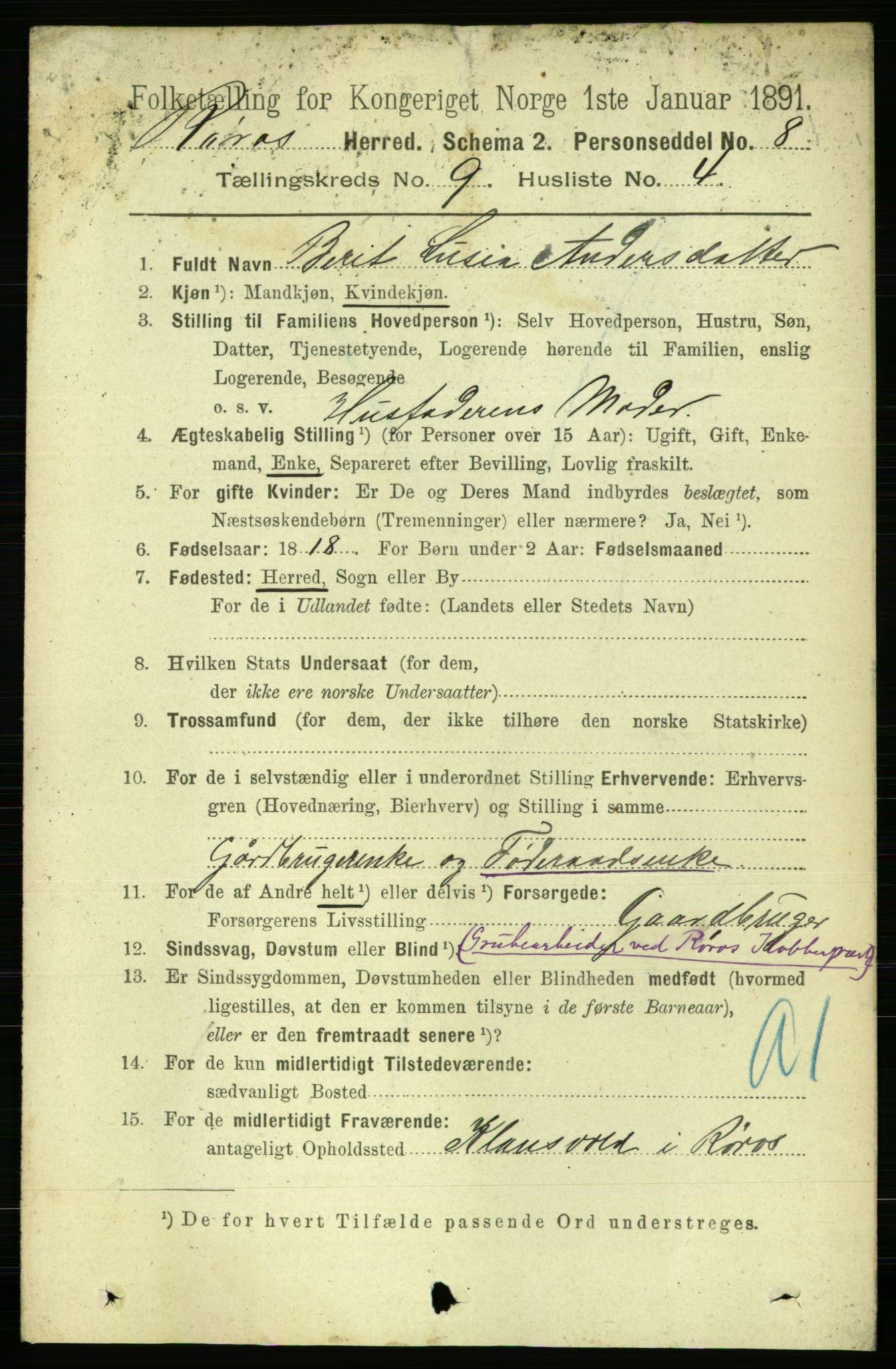 RA, 1891 census for 1640 Røros, 1891, p. 1843