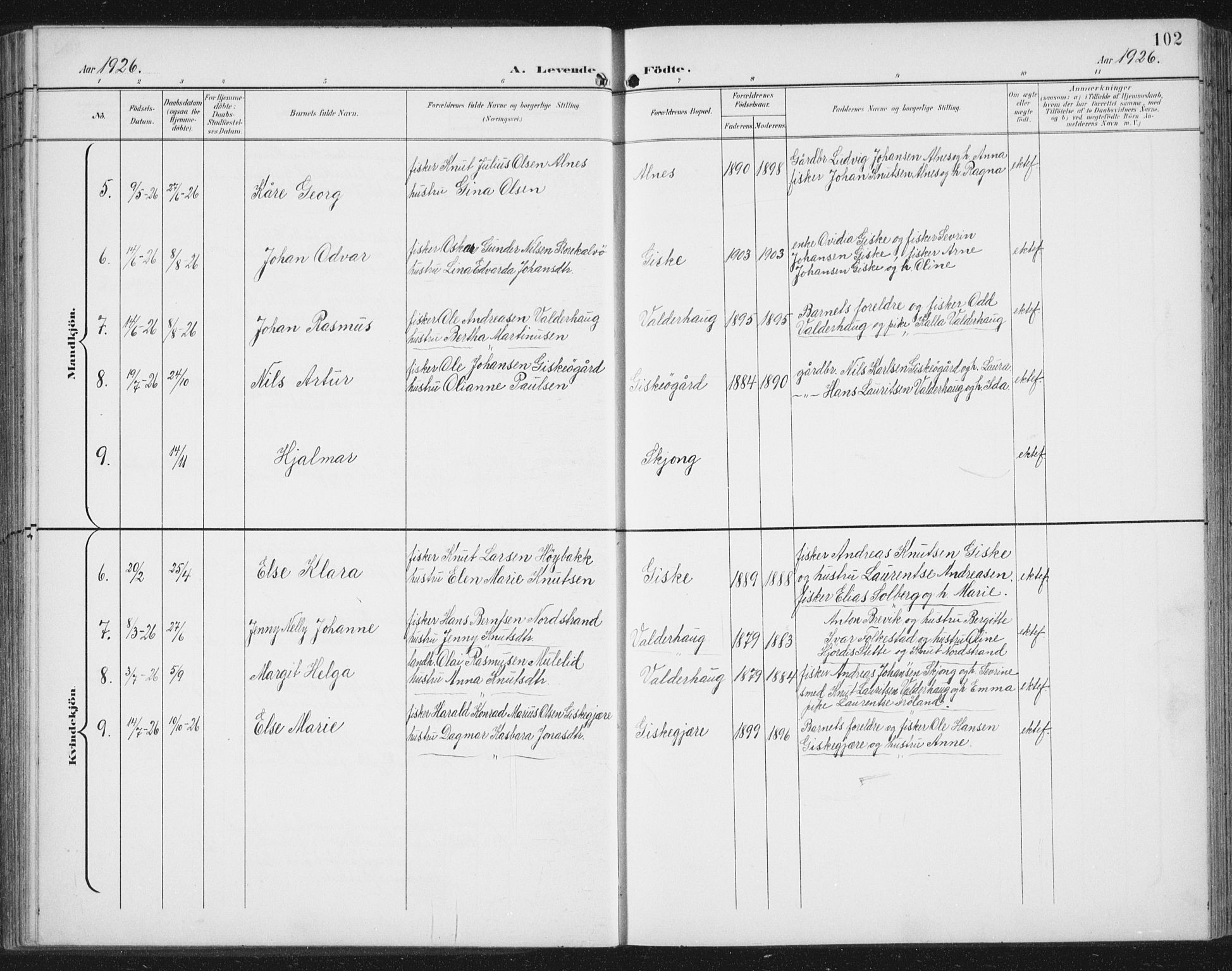 Ministerialprotokoller, klokkerbøker og fødselsregistre - Møre og Romsdal, AV/SAT-A-1454/534/L0489: Parish register (copy) no. 534C01, 1899-1941, p. 102