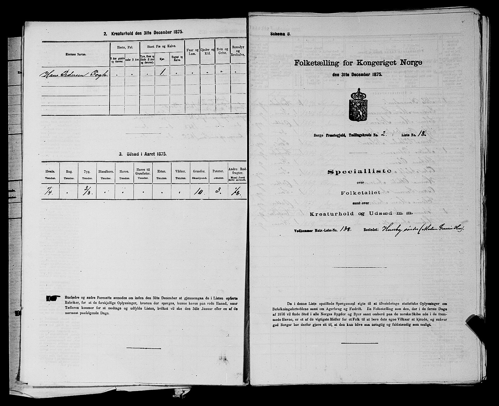 RA, 1875 census for 0113P Borge, 1875, p. 197