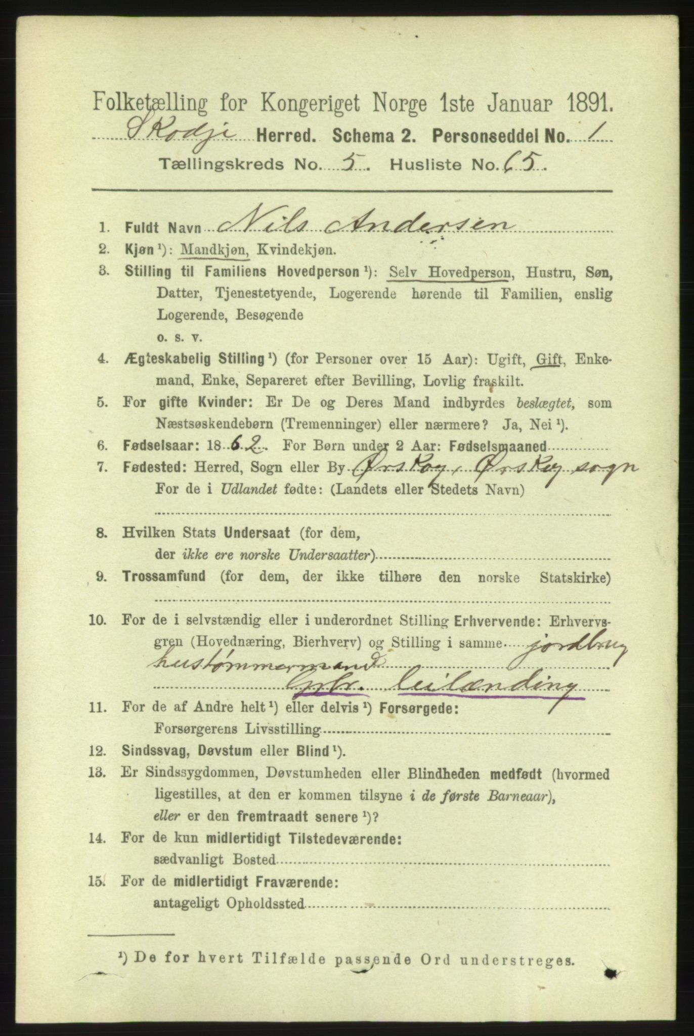 RA, 1891 census for 1529 Skodje, 1891, p. 1219