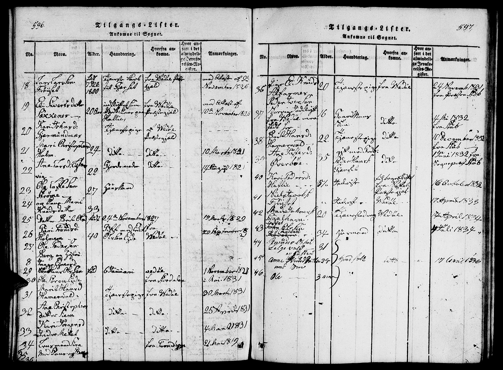 Ministerialprotokoller, klokkerbøker og fødselsregistre - Møre og Romsdal, AV/SAT-A-1454/542/L0558: Parish register (copy) no. 542C01, 1818-1836, p. 596-597