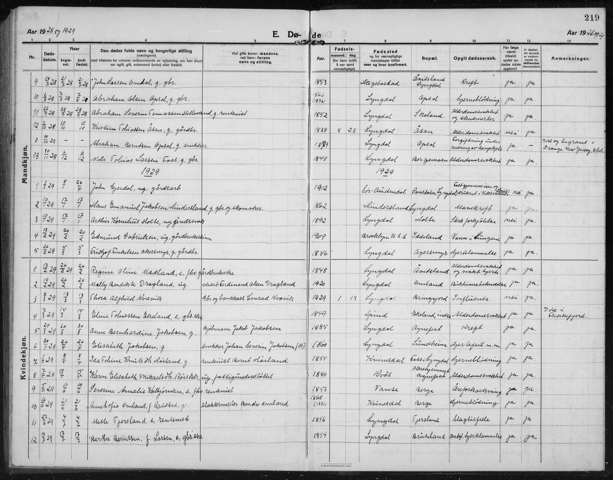 Lyngdal sokneprestkontor, AV/SAK-1111-0029/F/Fb/Fbc/L0006: Parish register (copy) no. B 6, 1914-1934, p. 219