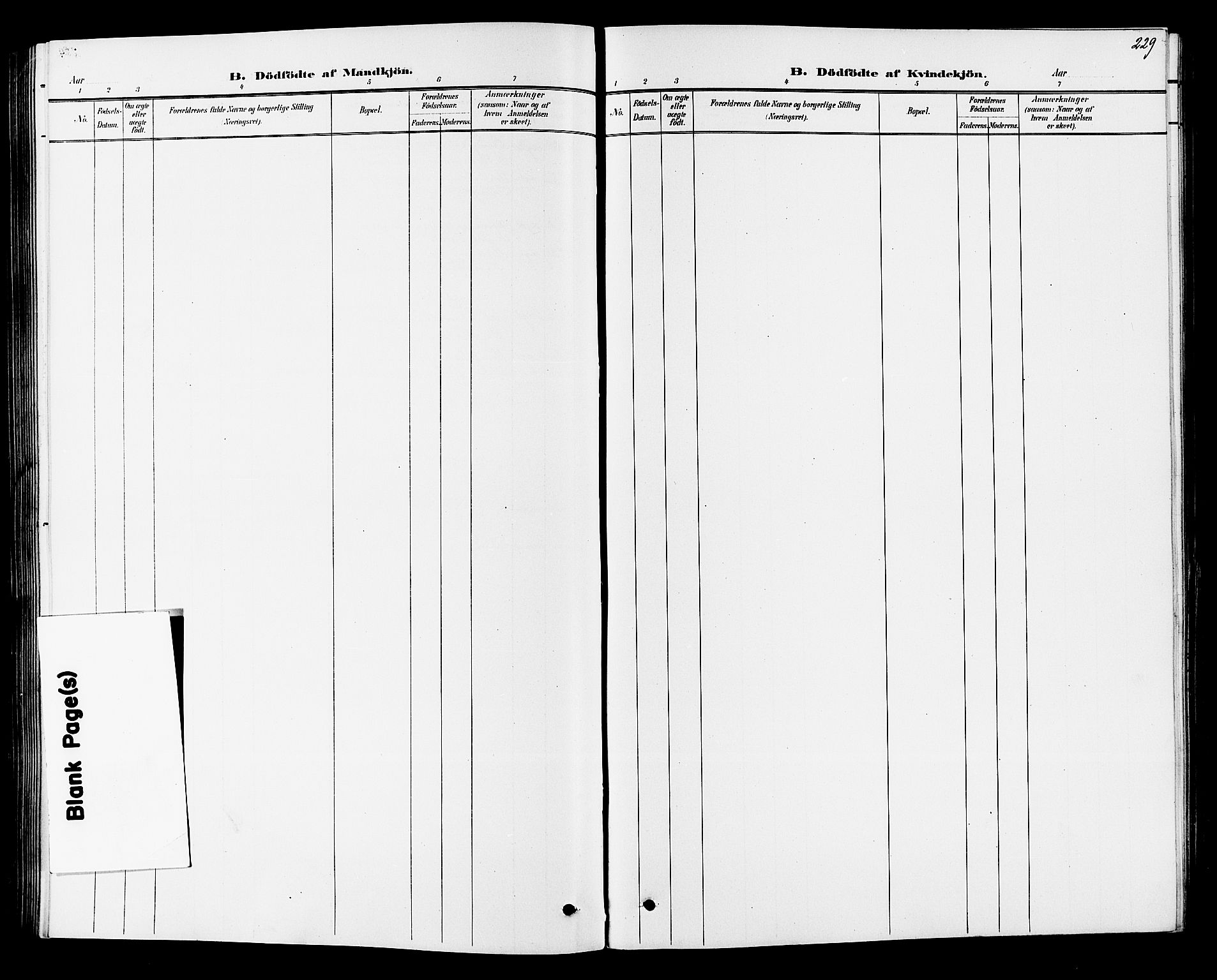 Norderhov kirkebøker, SAKO/A-237/G/Ga/L0008: Parish register (copy) no. I 8, 1887-1912, p. 229