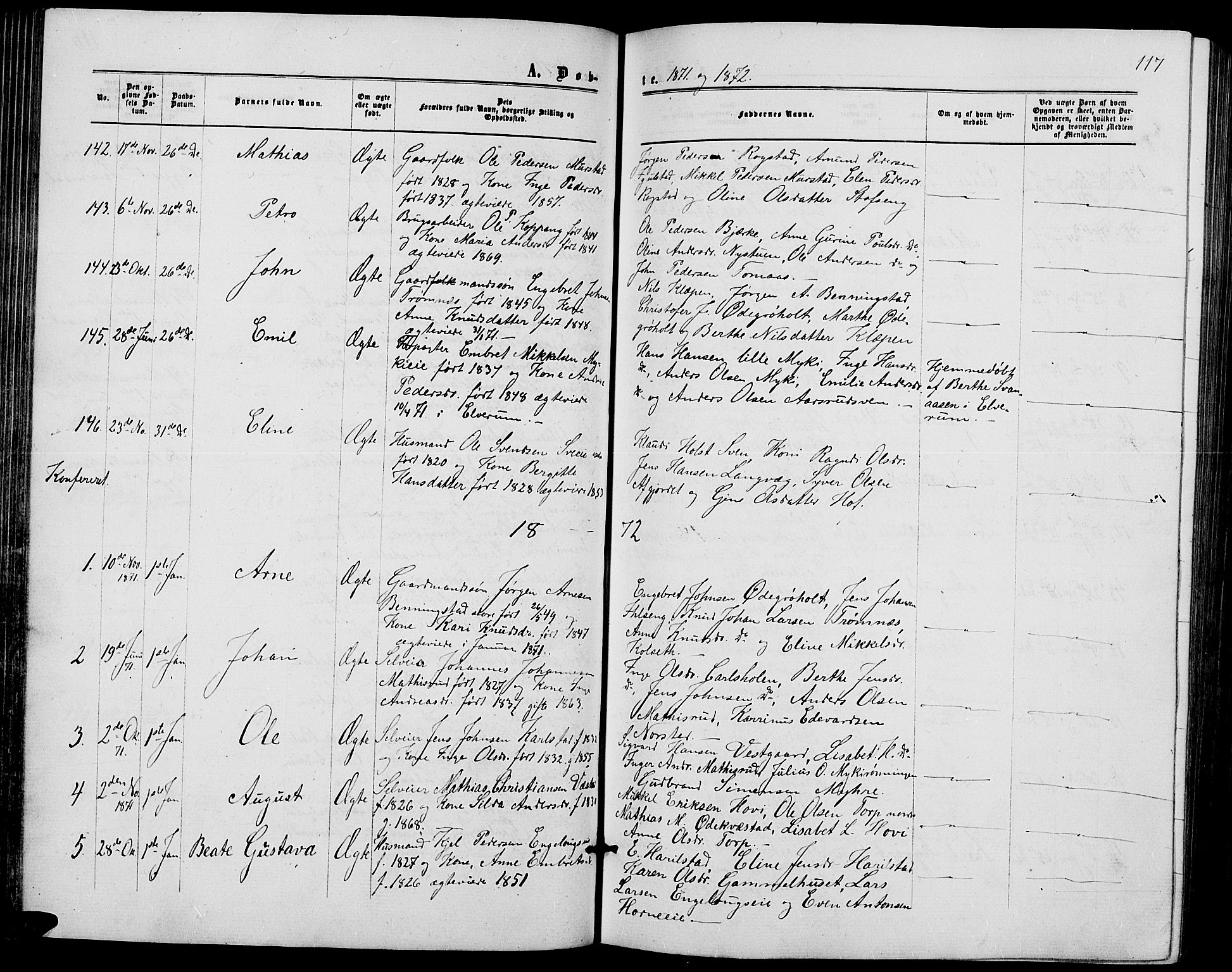 Løten prestekontor, AV/SAH-PREST-022/L/La/L0004: Parish register (copy) no. 4, 1863-1877, p. 117