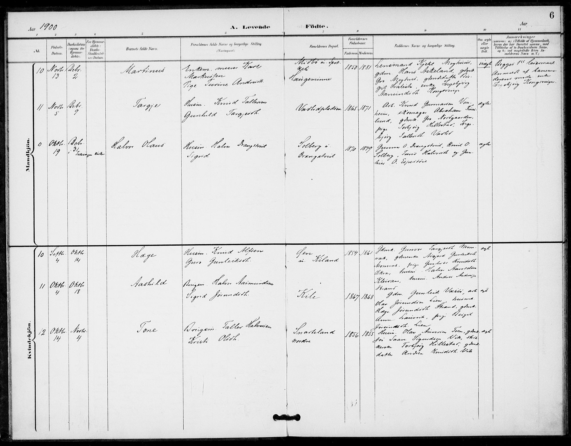 Fyresdal kirkebøker, AV/SAKO-A-263/F/Fa/L0008: Parish register (official) no. I 8, 1899-1914, p. 6