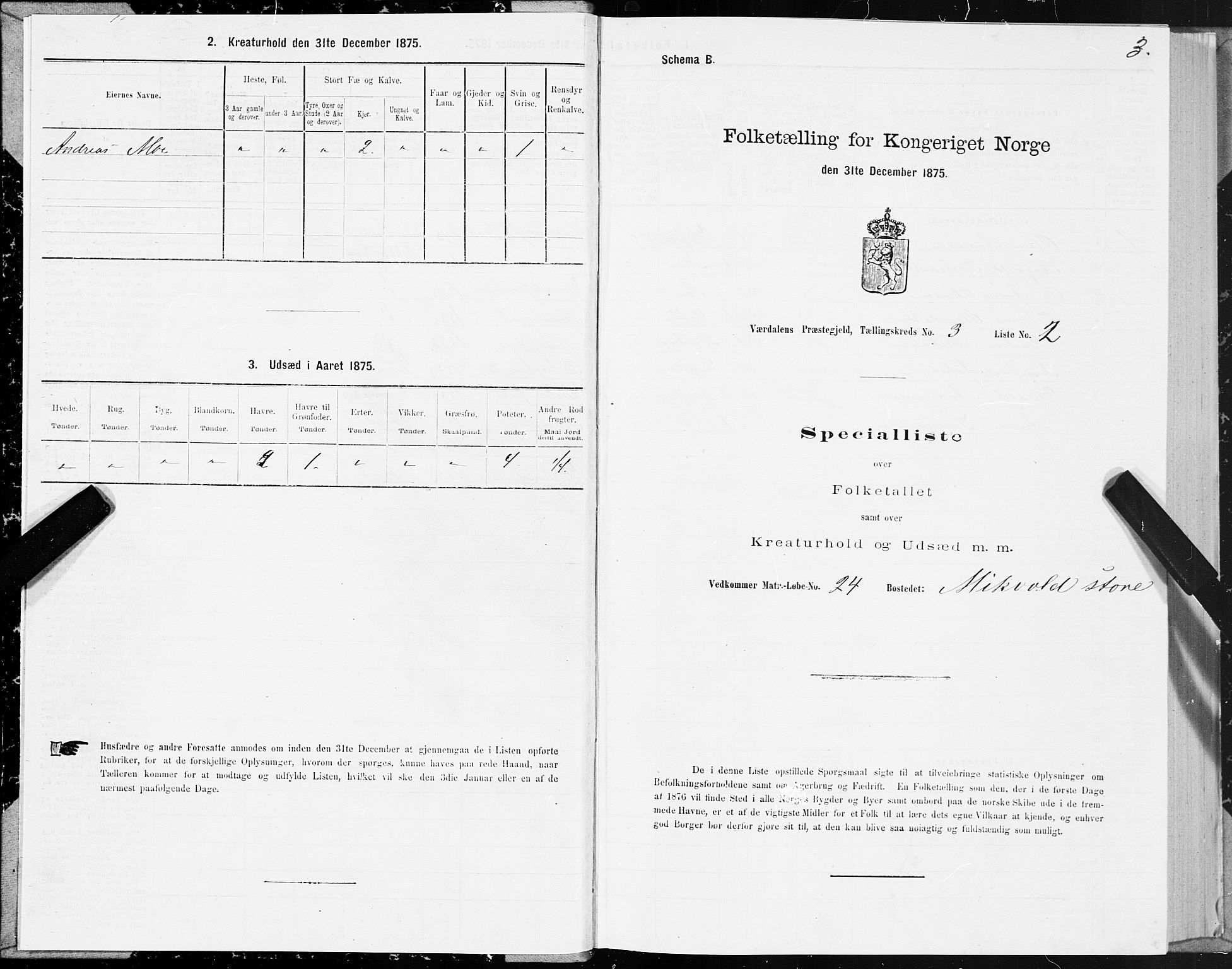 SAT, 1875 census for 1721P Verdal, 1875, p. 2003