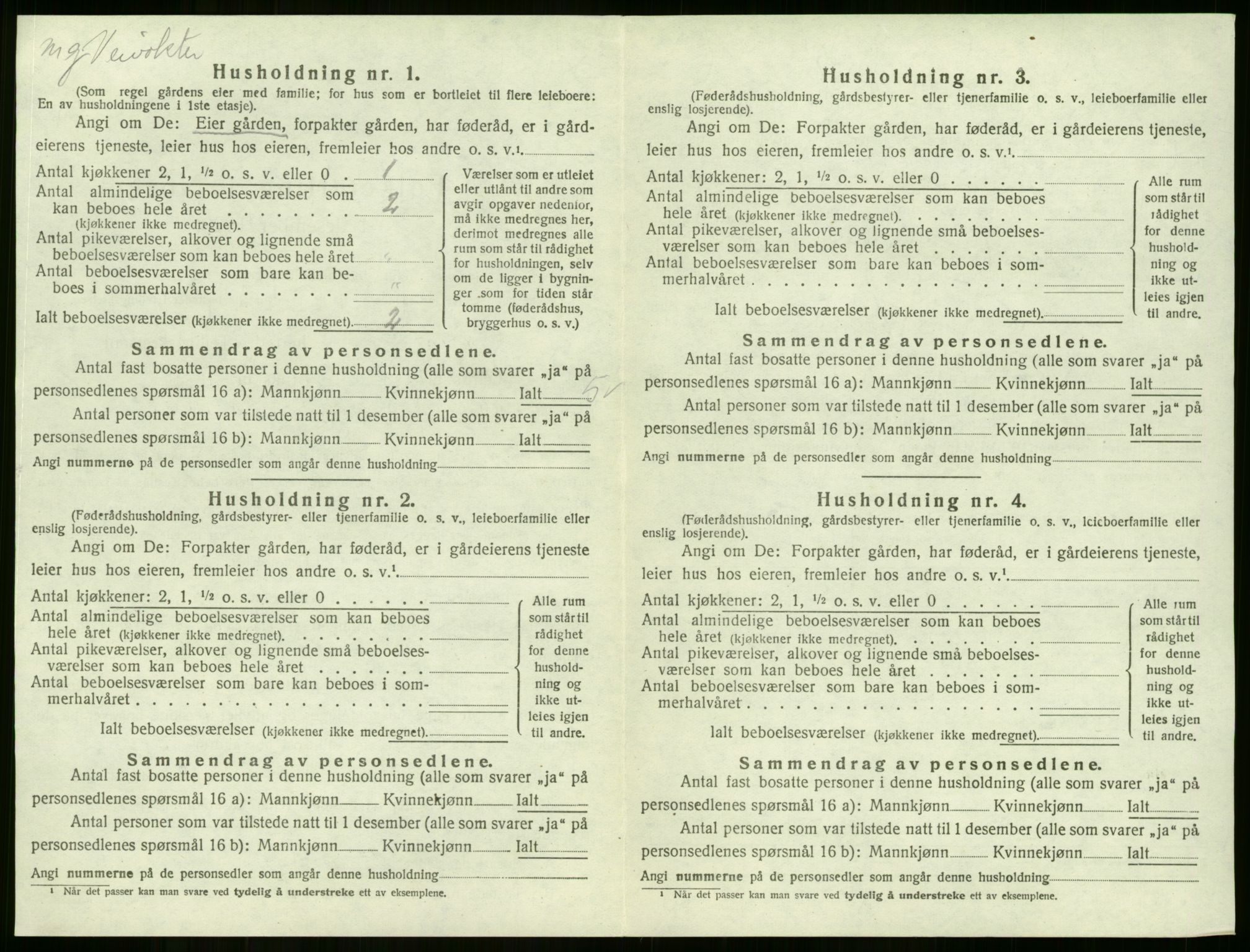 SAKO, 1920 census for Lier, 1920, p. 2733