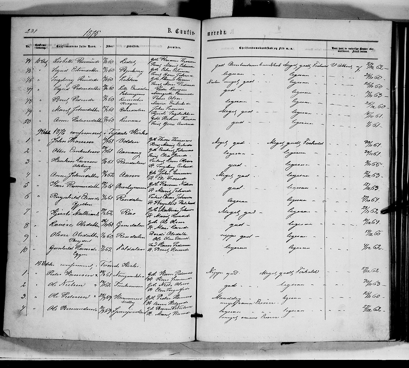 Tynset prestekontor, SAH/PREST-058/H/Ha/Haa/L0021: Parish register (official) no. 21, 1863-1879, p. 234