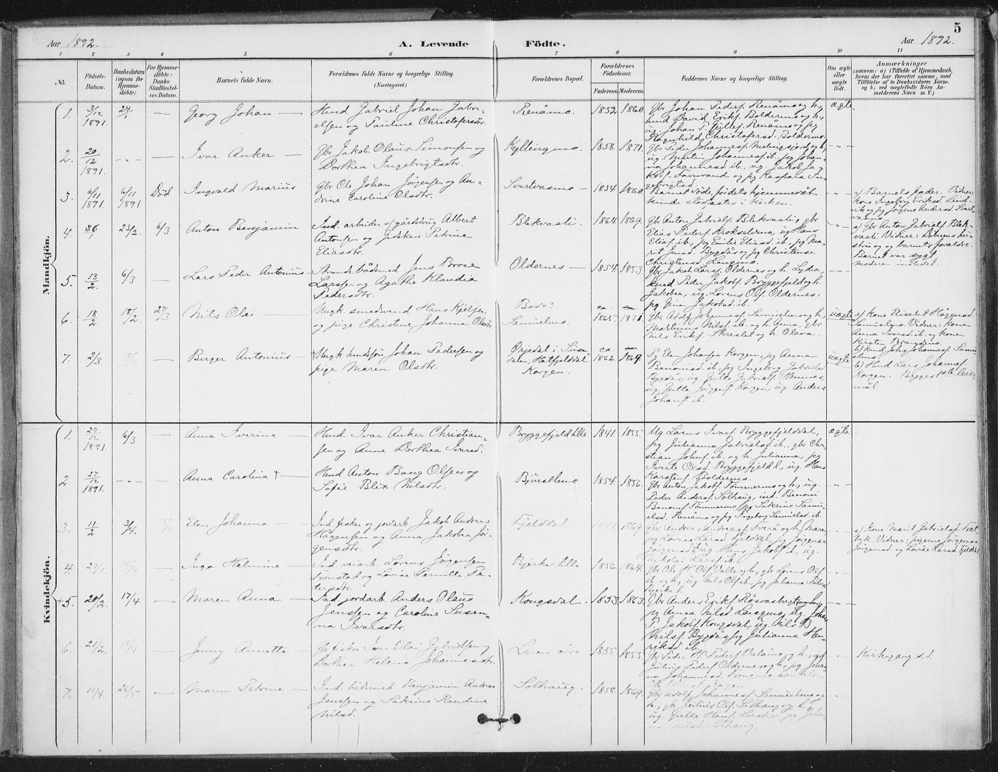 Ministerialprotokoller, klokkerbøker og fødselsregistre - Nordland, SAT/A-1459/826/L0380: Parish register (official) no. 826A03, 1891-1911, p. 5