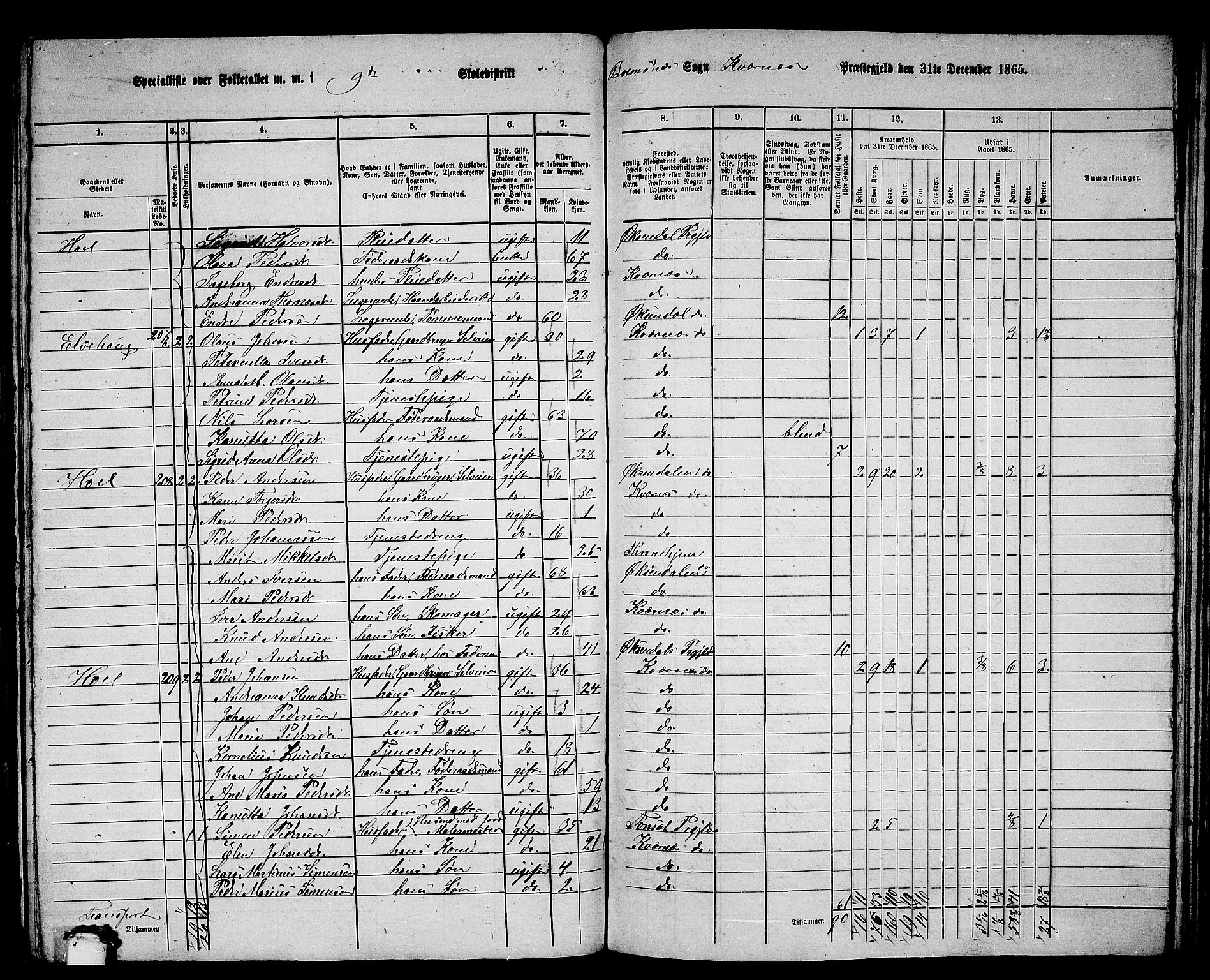 RA, 1865 census for Kvernes, 1865, p. 163