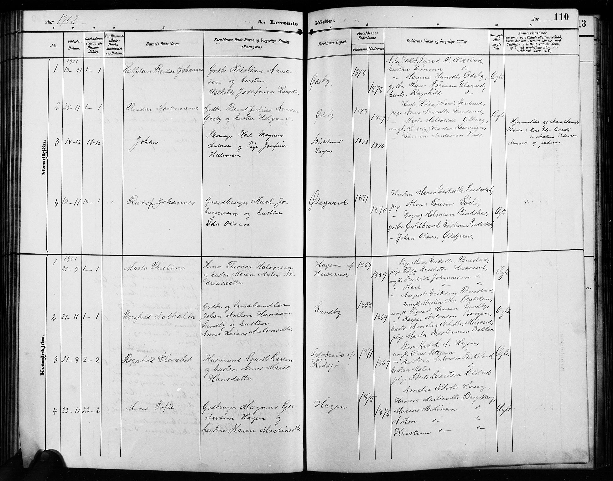 Enebakk prestekontor Kirkebøker, SAO/A-10171c/G/Ga/L0006: Parish register (copy) no. I 6, 1889-1911, p. 110