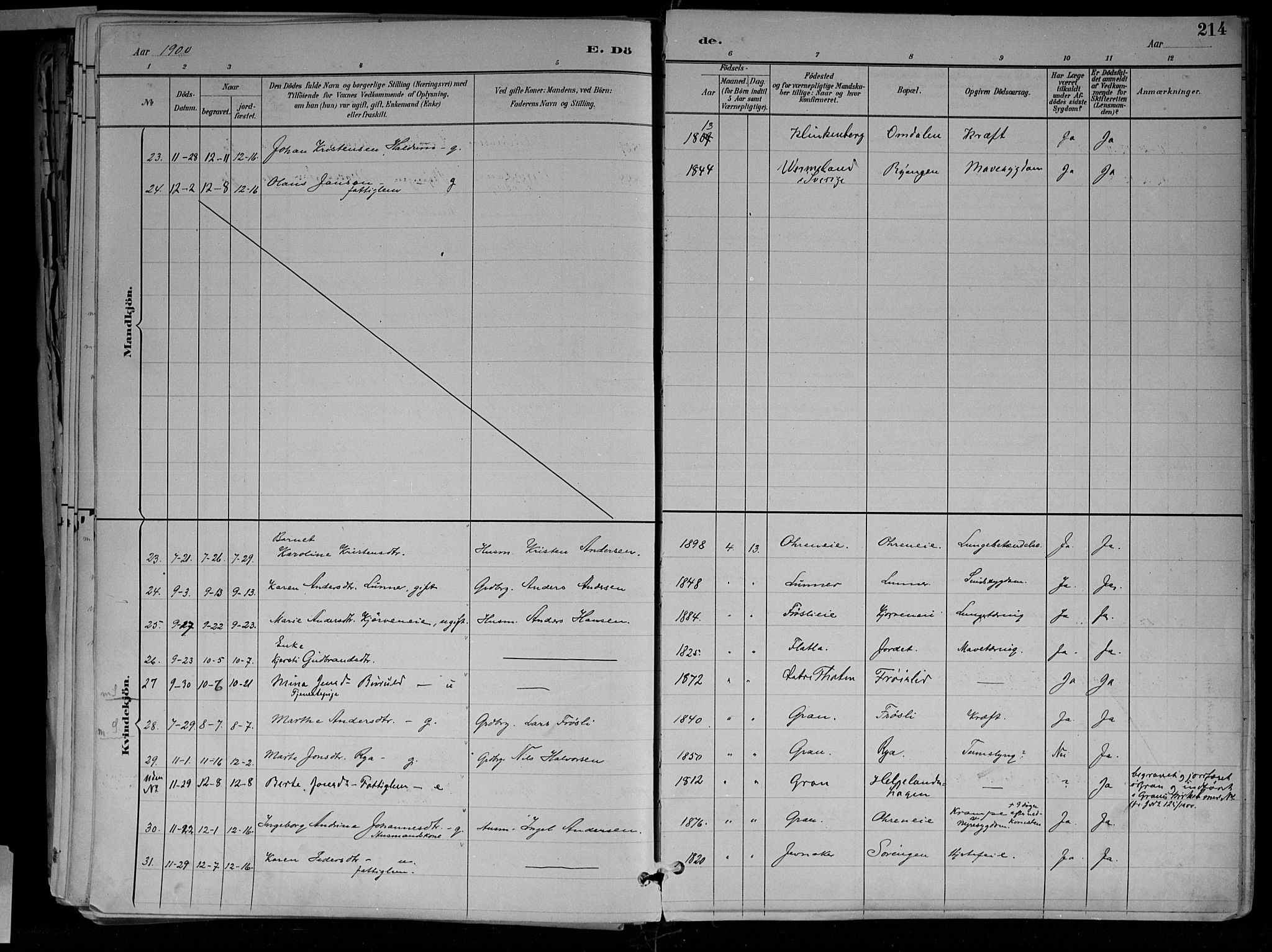 Jevnaker prestekontor, SAH/PREST-116/H/Ha/Haa/L0010: Parish register (official) no. 10, 1891-1906, p. 214