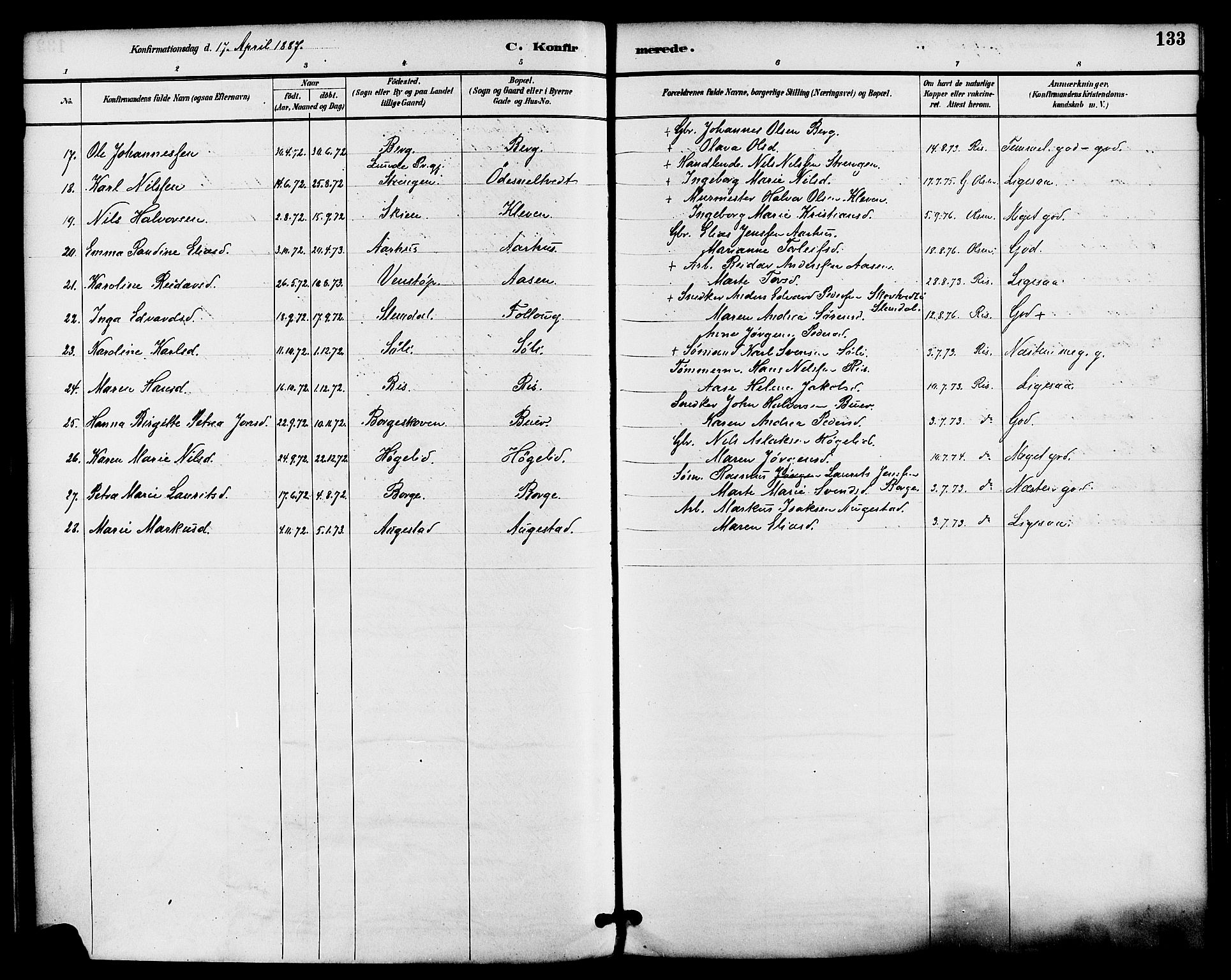 Gjerpen kirkebøker, AV/SAKO-A-265/F/Fa/L0010: Parish register (official) no. I 10, 1886-1895, p. 133