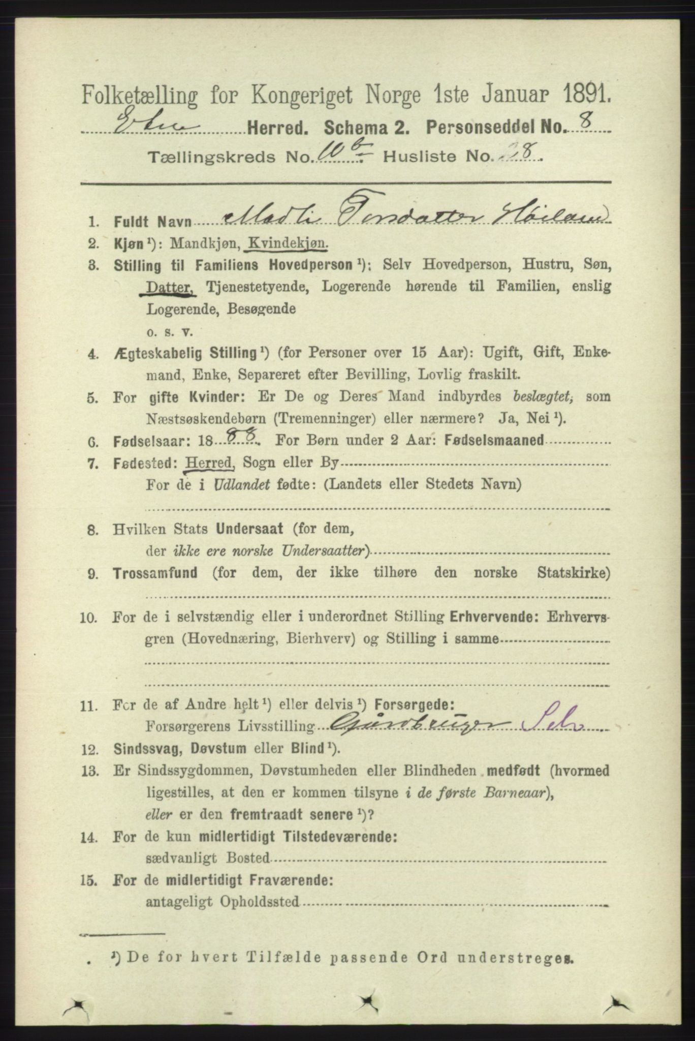 RA, 1891 census for 1211 Etne, 1891, p. 2030