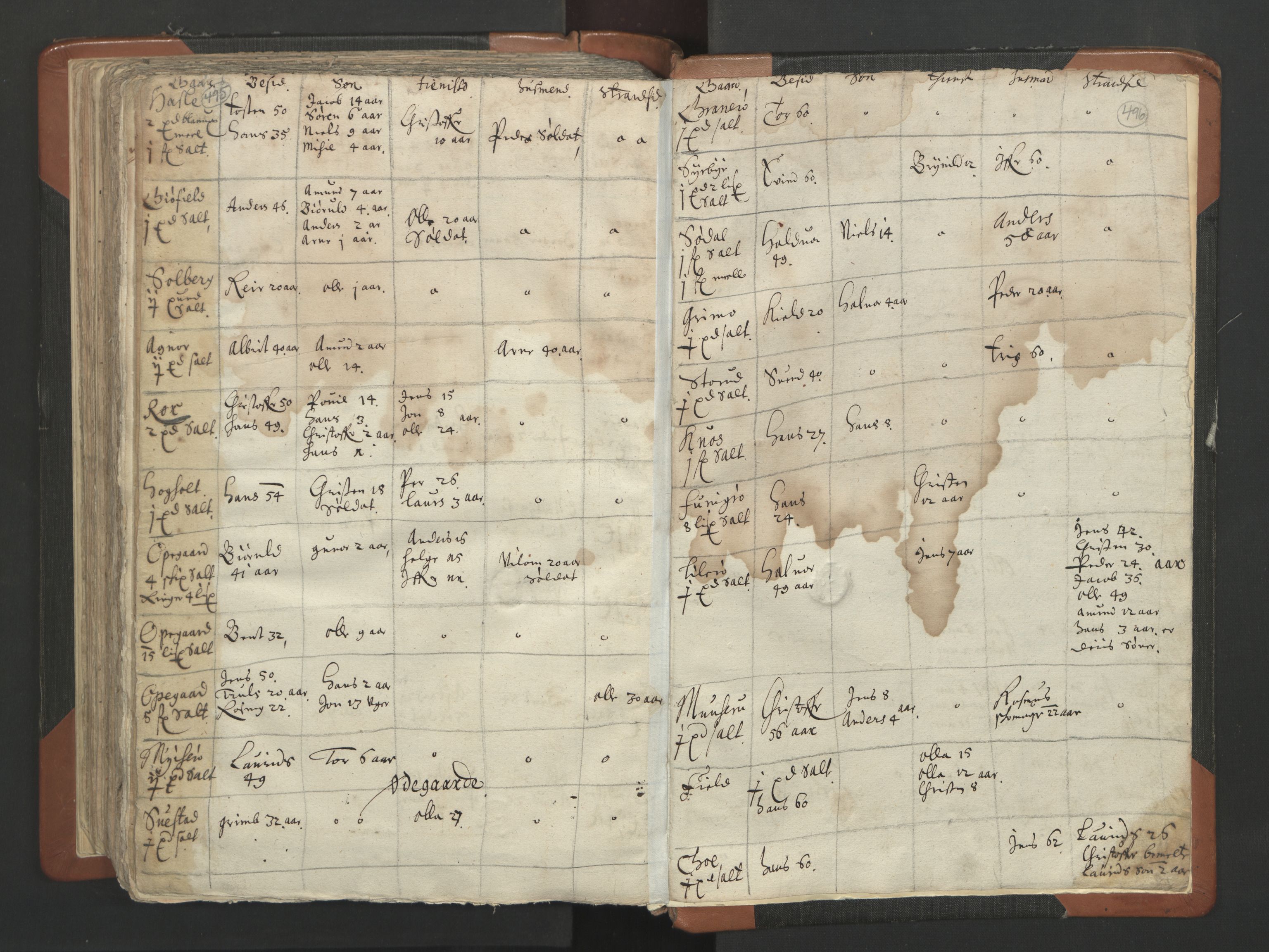 RA, Vicar's Census 1664-1666, no. 2: Øvre Borgesyssel deanery, 1664-1666, p. 495-496