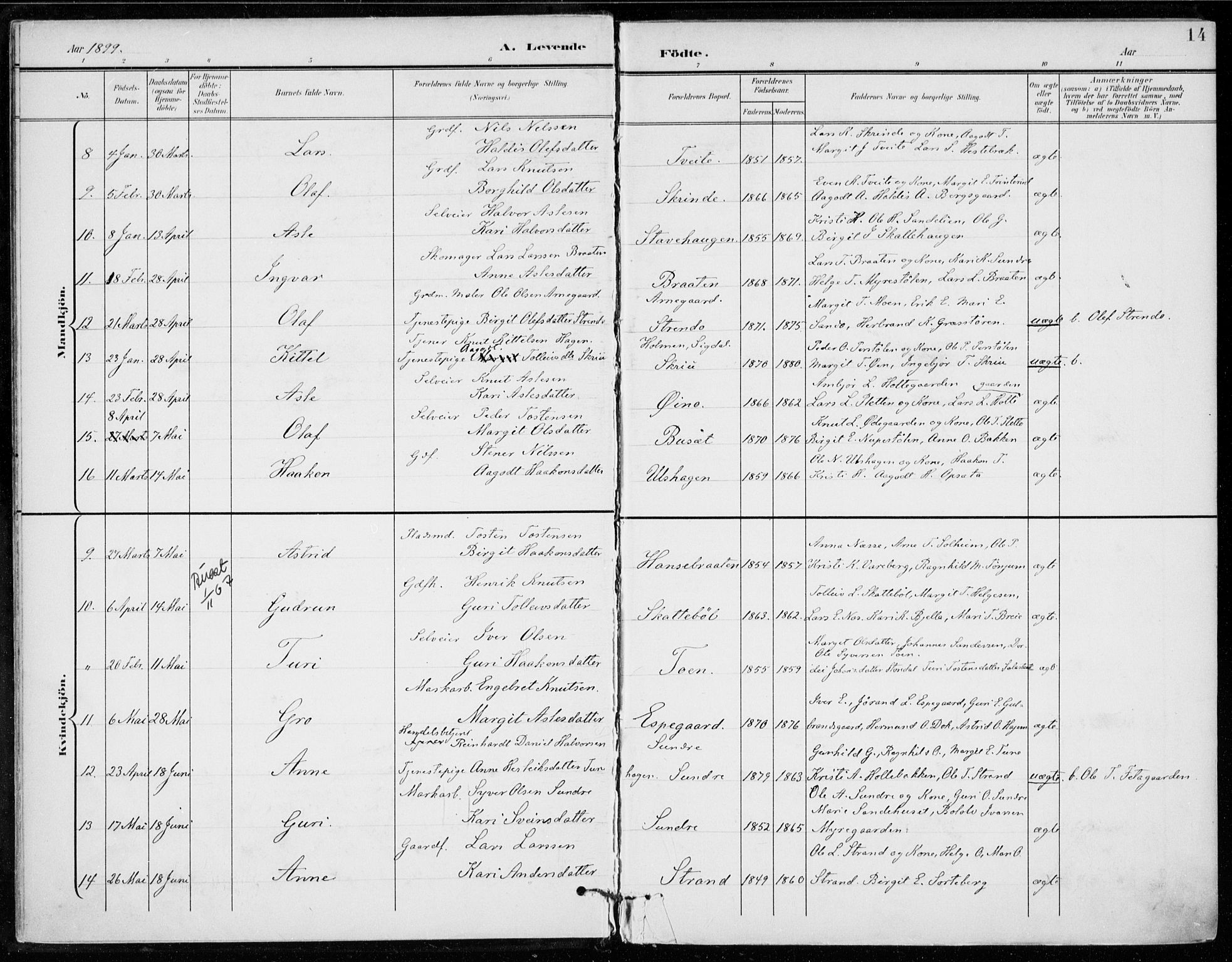 Ål kirkebøker, AV/SAKO-A-249/F/Fa/L0009: Parish register (official) no. I 9, 1897-1915, p. 14