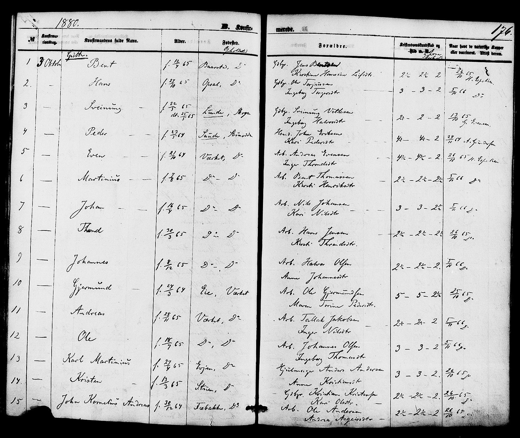 Holla kirkebøker, SAKO/A-272/F/Fa/L0007: Parish register (official) no. 7, 1869-1881, p. 176
