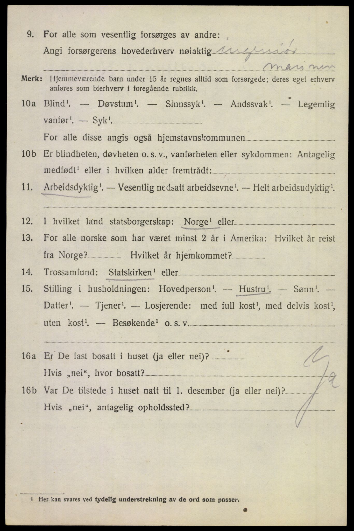 SAKO, 1920 census for Borre, 1920, p. 4917