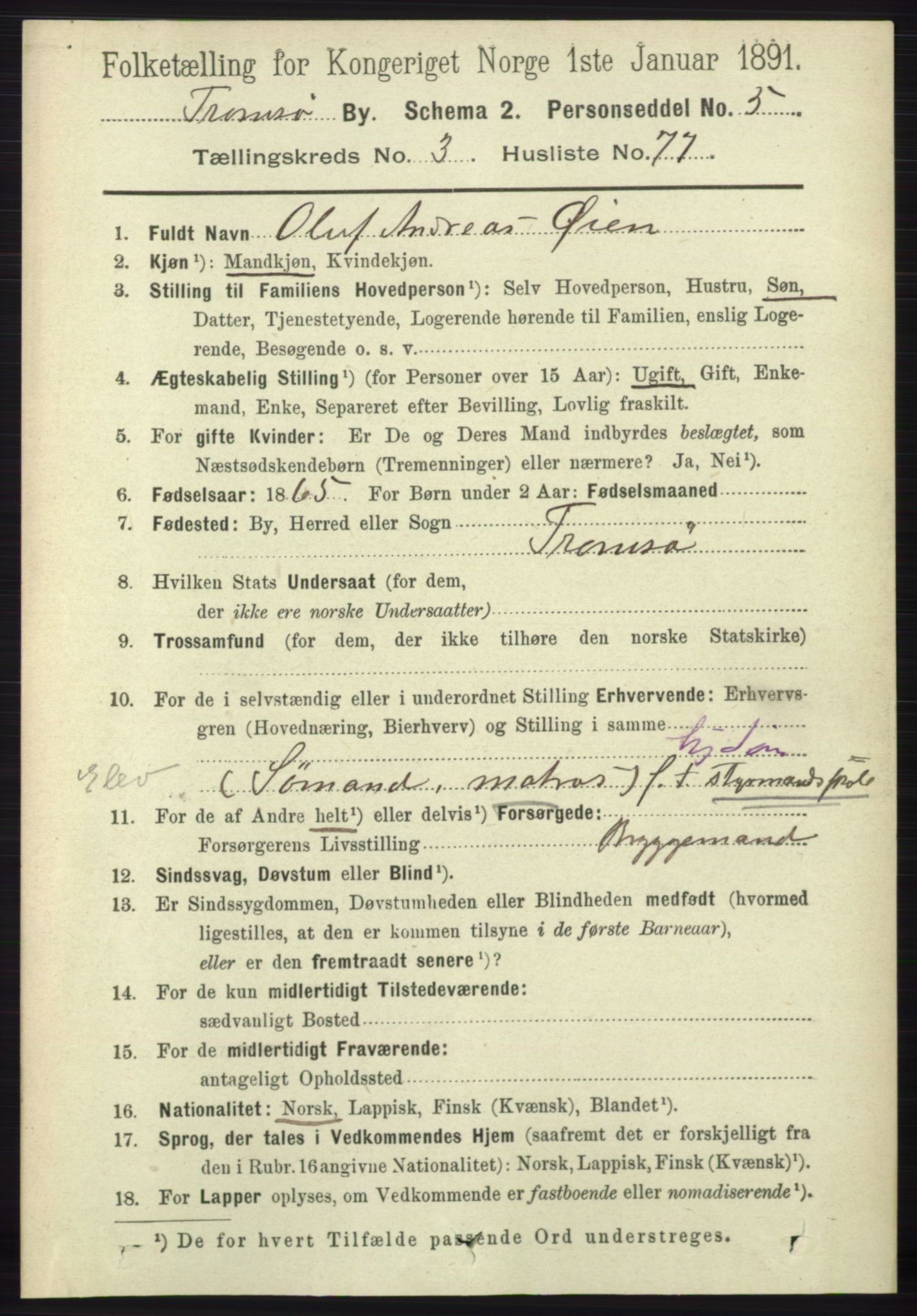 RA, 1891 census for 1902 Tromsø, 1891, p. 3989