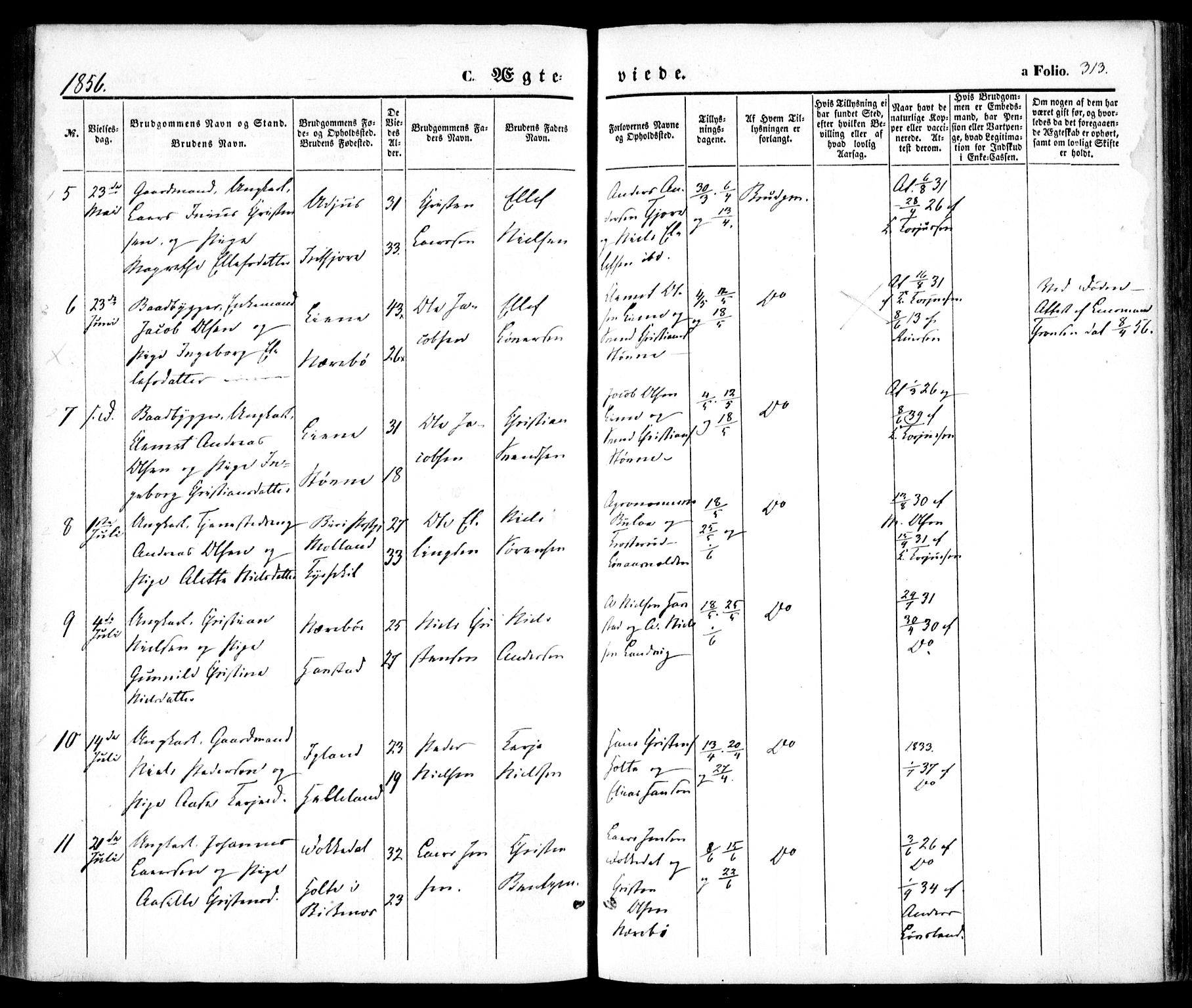 Hommedal sokneprestkontor, SAK/1111-0023/F/Fa/Fab/L0004: Parish register (official) no. A 4, 1848-1860, p. 313
