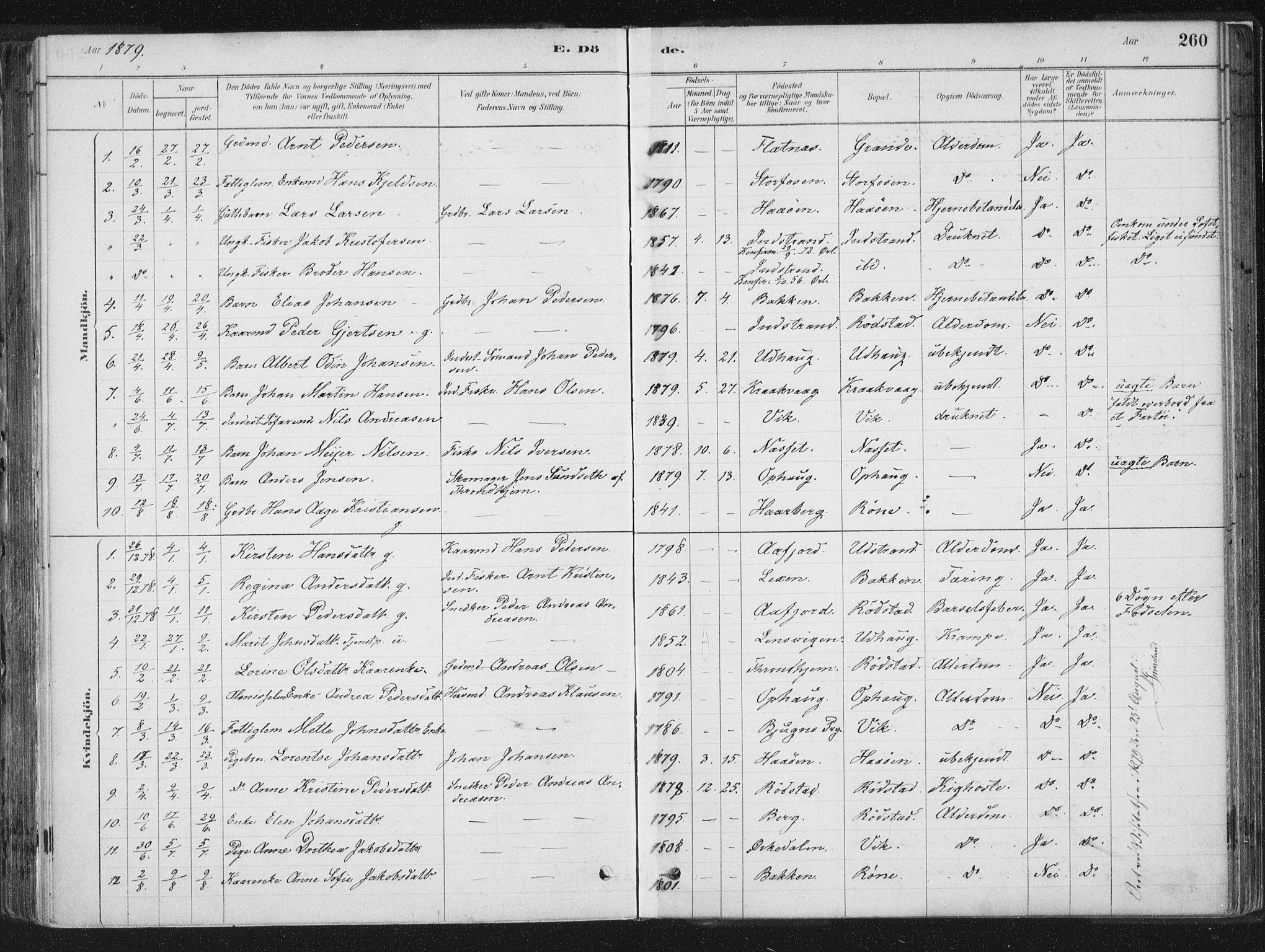 Ministerialprotokoller, klokkerbøker og fødselsregistre - Sør-Trøndelag, SAT/A-1456/659/L0739: Parish register (official) no. 659A09, 1879-1893, p. 260