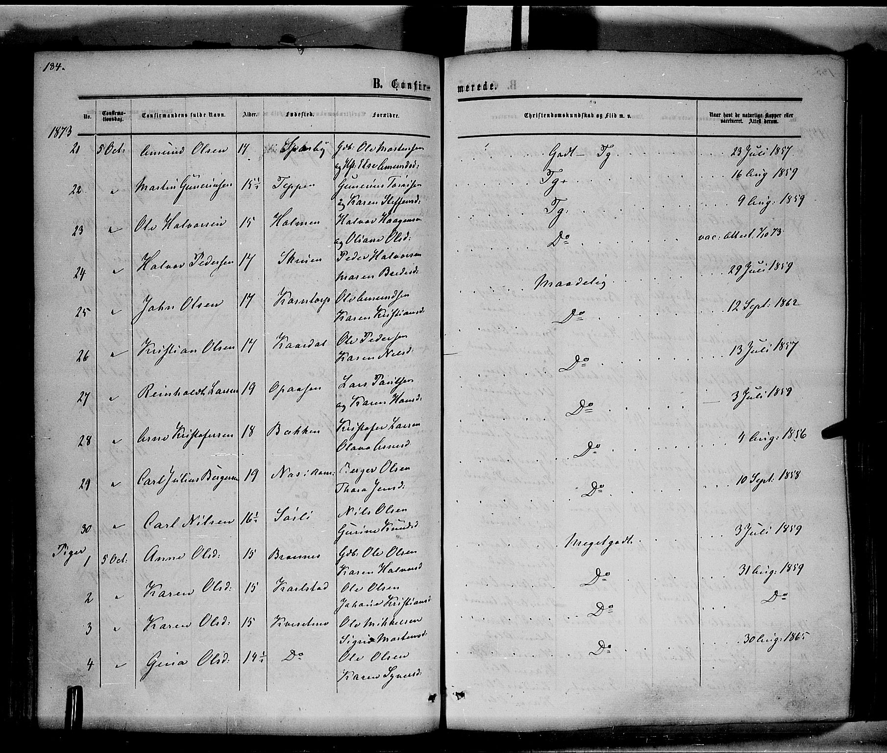 Hof prestekontor, SAH/PREST-038/H/Ha/Haa/L0009: Parish register (official) no. 9, 1862-1877, p. 185