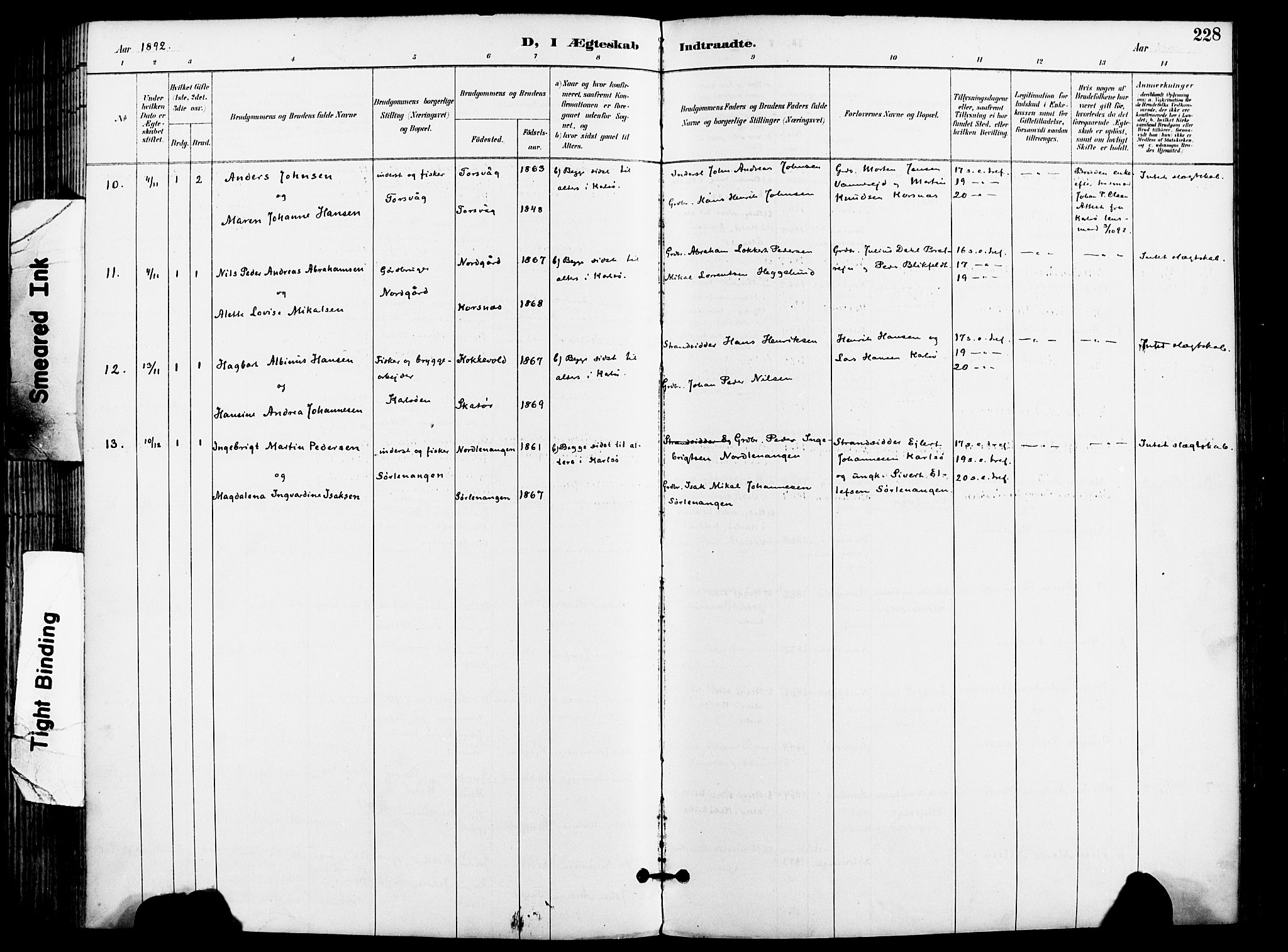 Karlsøy sokneprestembete, AV/SATØ-S-1299/H/Ha/Haa/L0007kirke: Parish register (official) no. 7, 1891-1902, p. 228